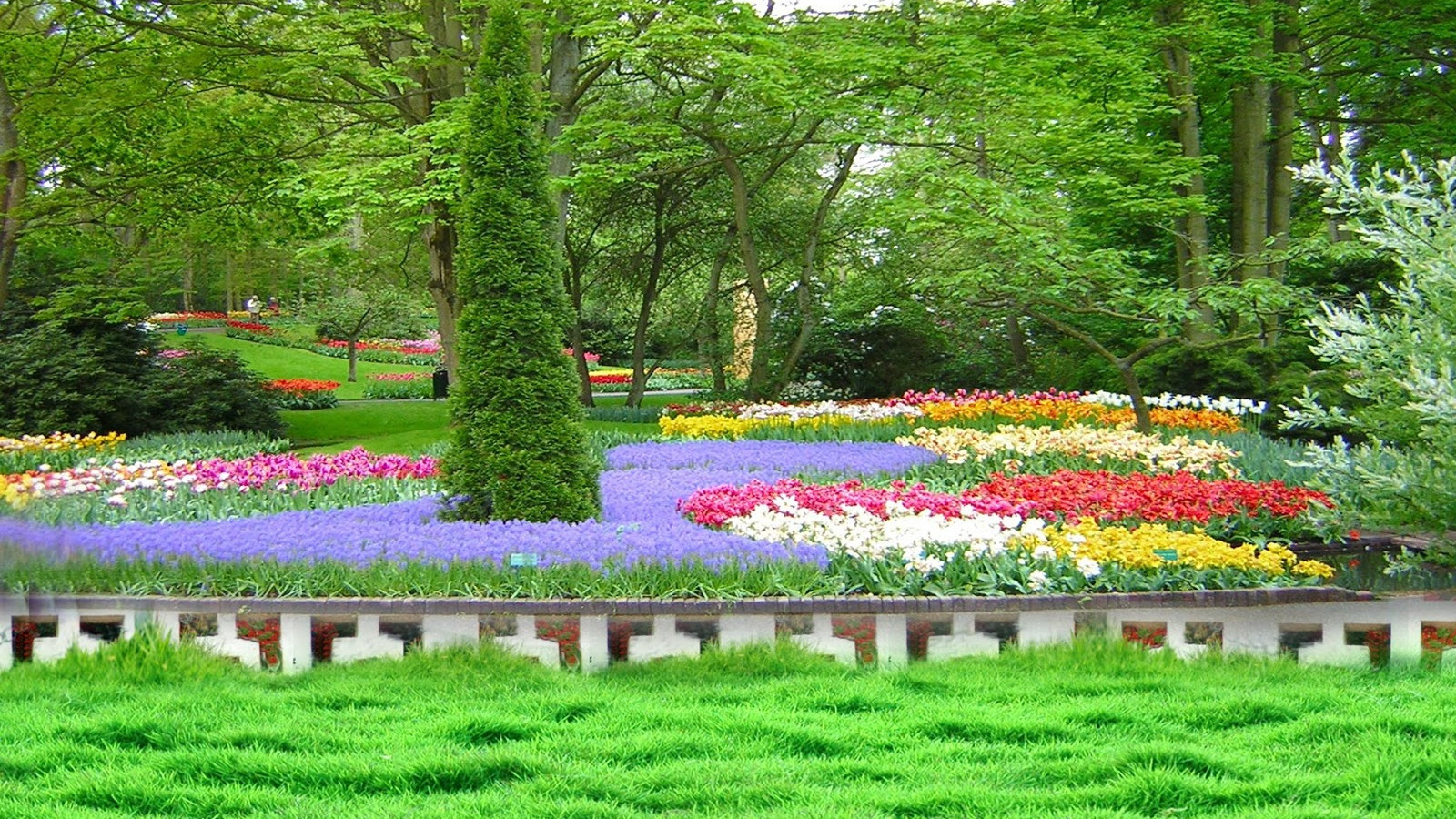 Nature Photohop Background Widescreen