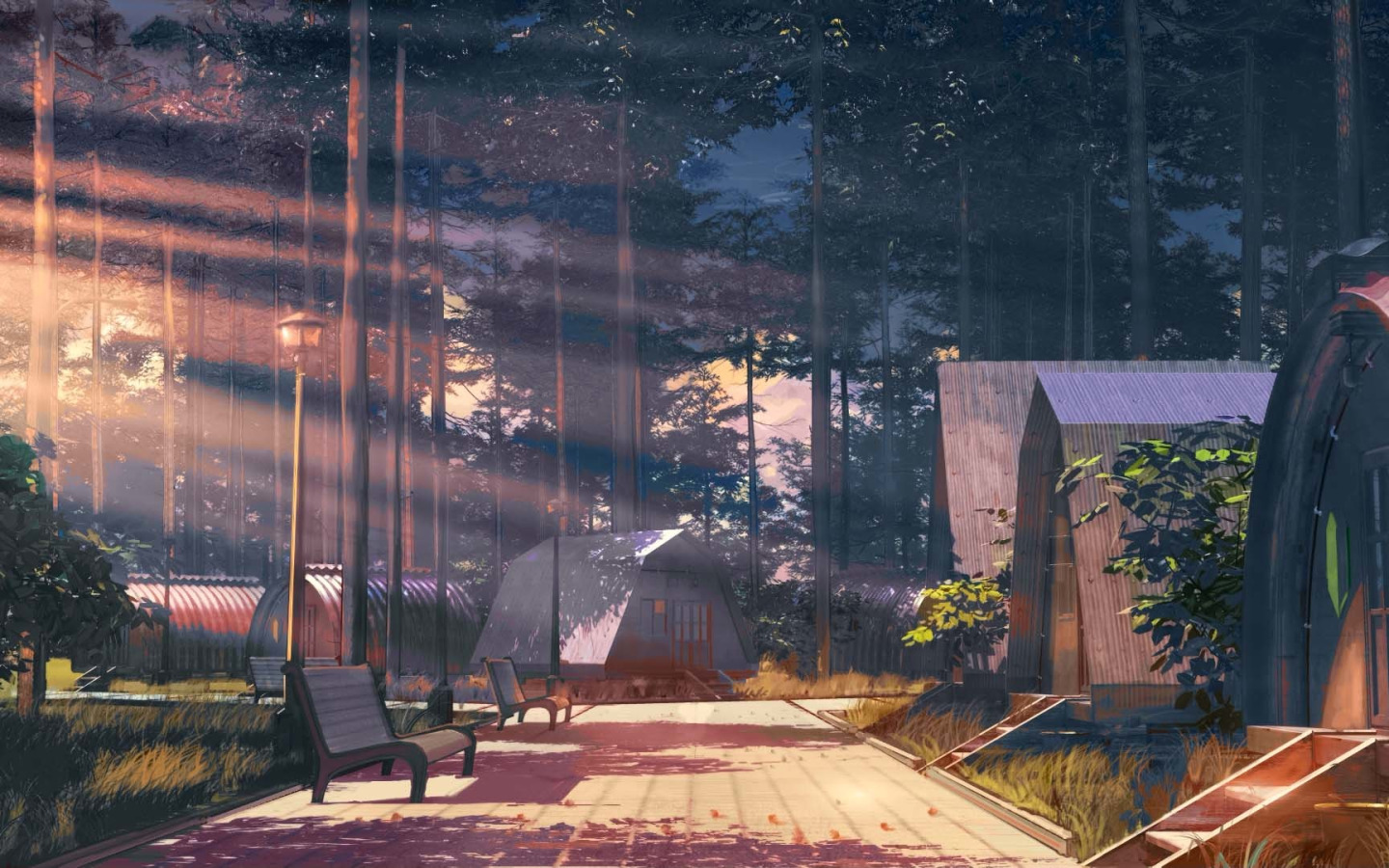 wallpaper Sunset, Forest, Summer