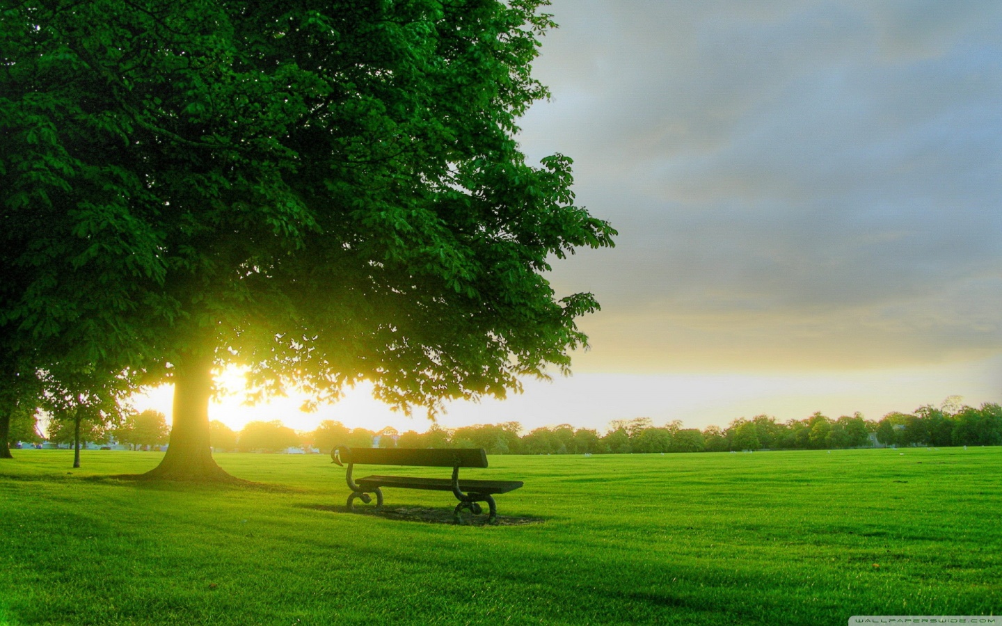 Ultra HD Desktop Background Wallpaper