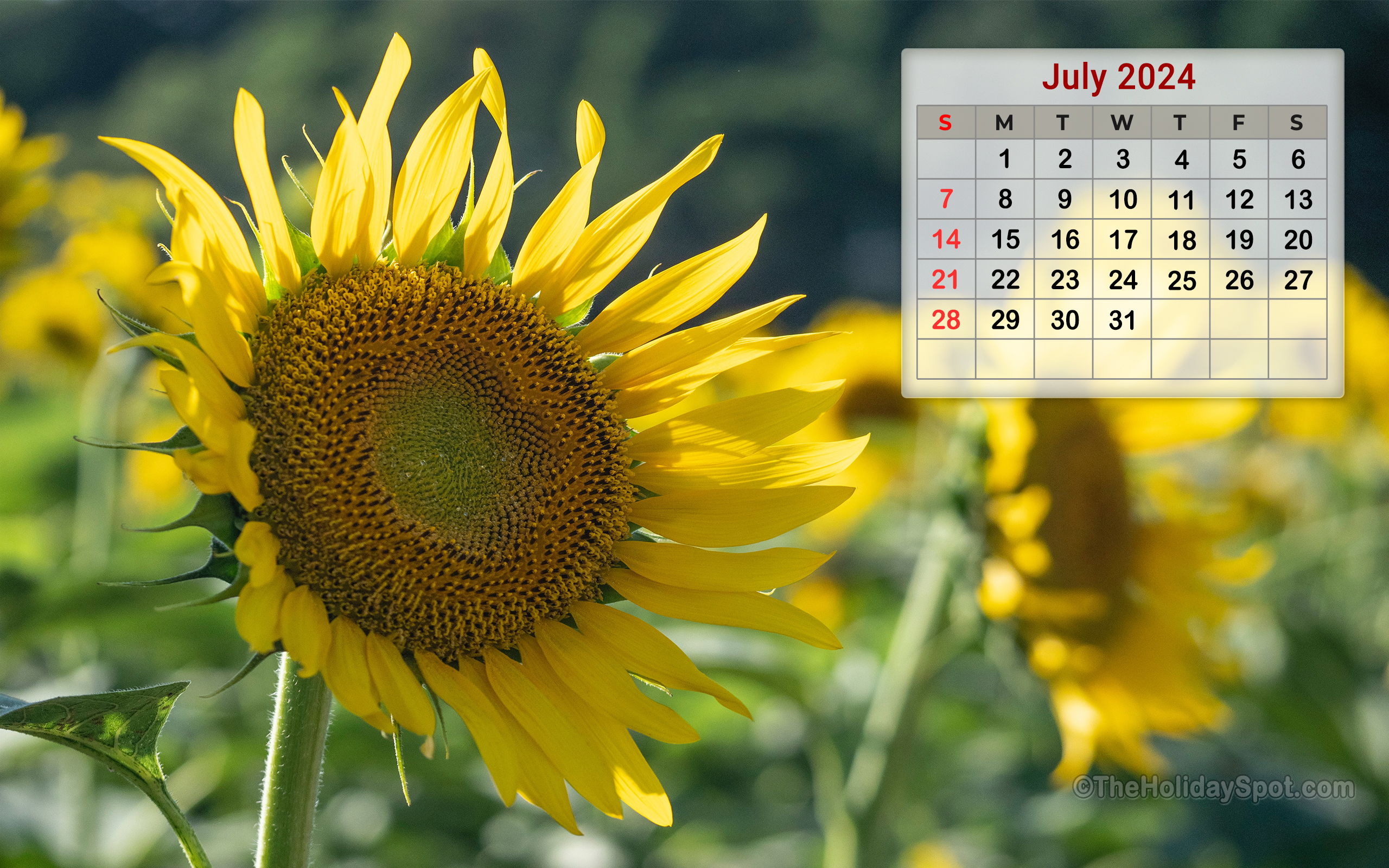 4K Month wise Calender Wallpaper 2024