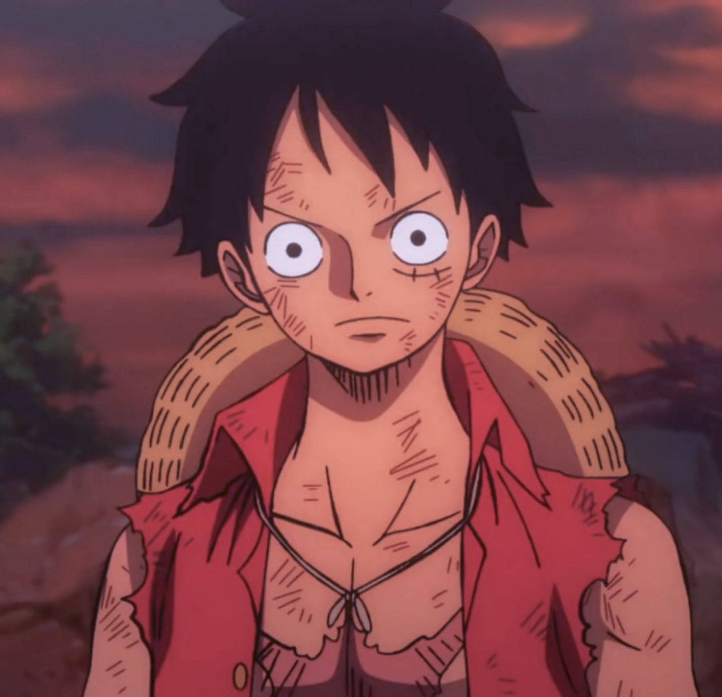 Luffy Pfp Wallpaper
