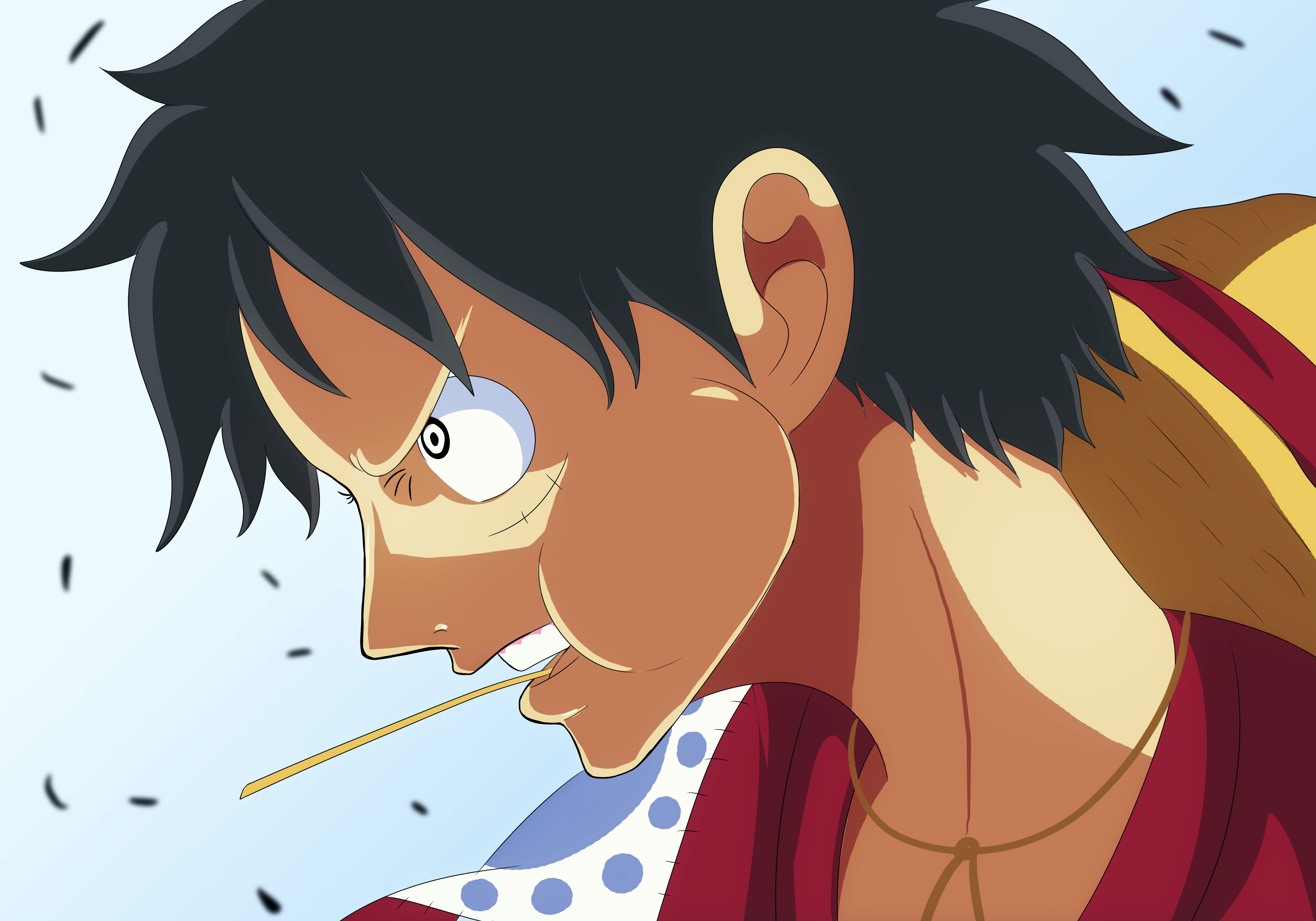HD desktop wallpaper: Anime, One Piece