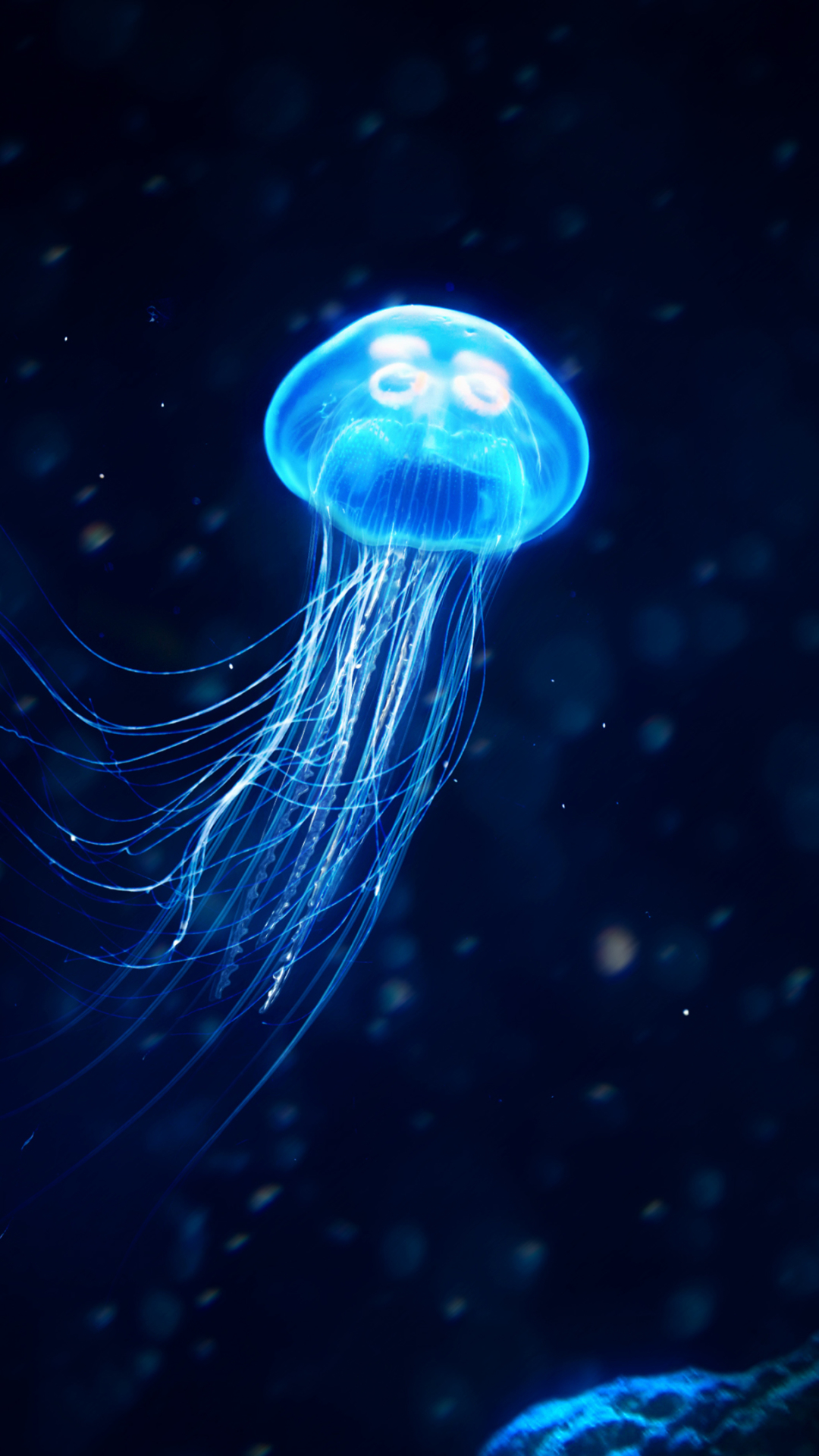 Download Glowing Jellyfish wallpaper