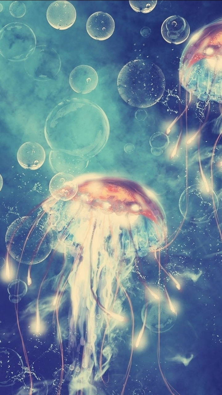 Jellyfish Phone Wallpaper