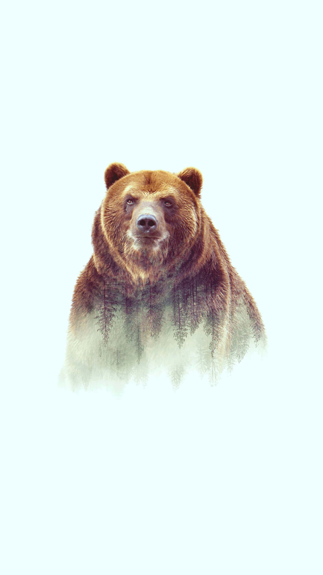 Download Cool Bear Pastel Aesthetic