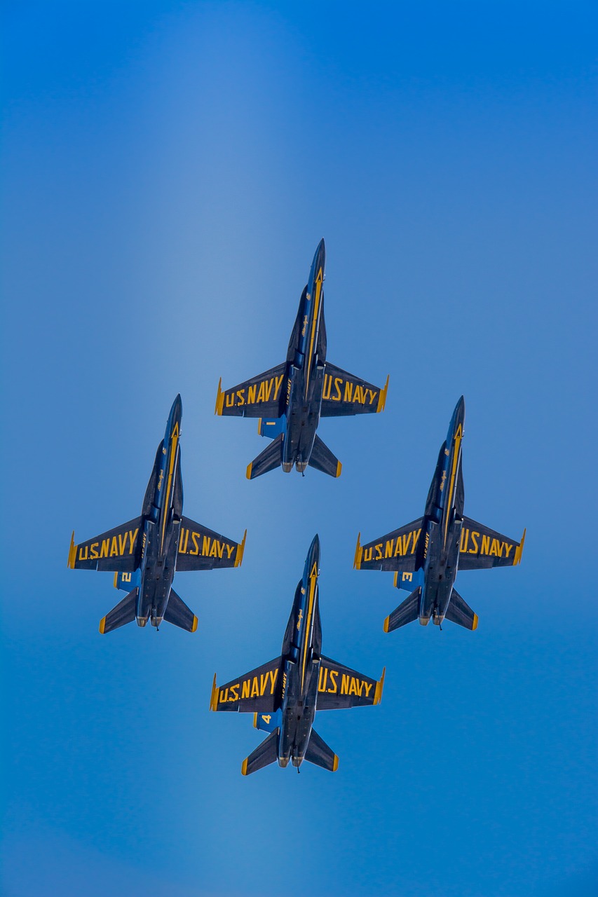 Blue Angels F 18 Hornet