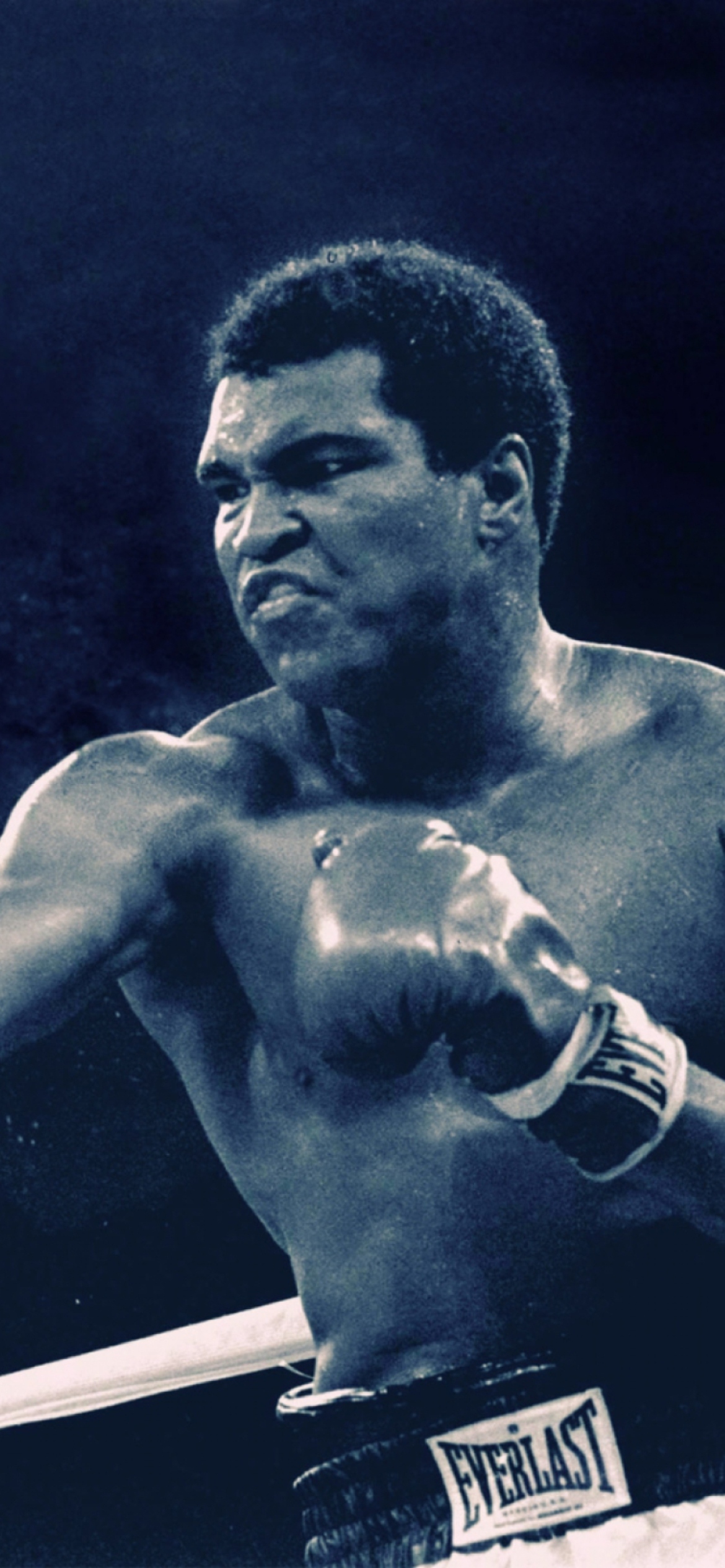 The Greatest Muhammad Ali Wallpaper