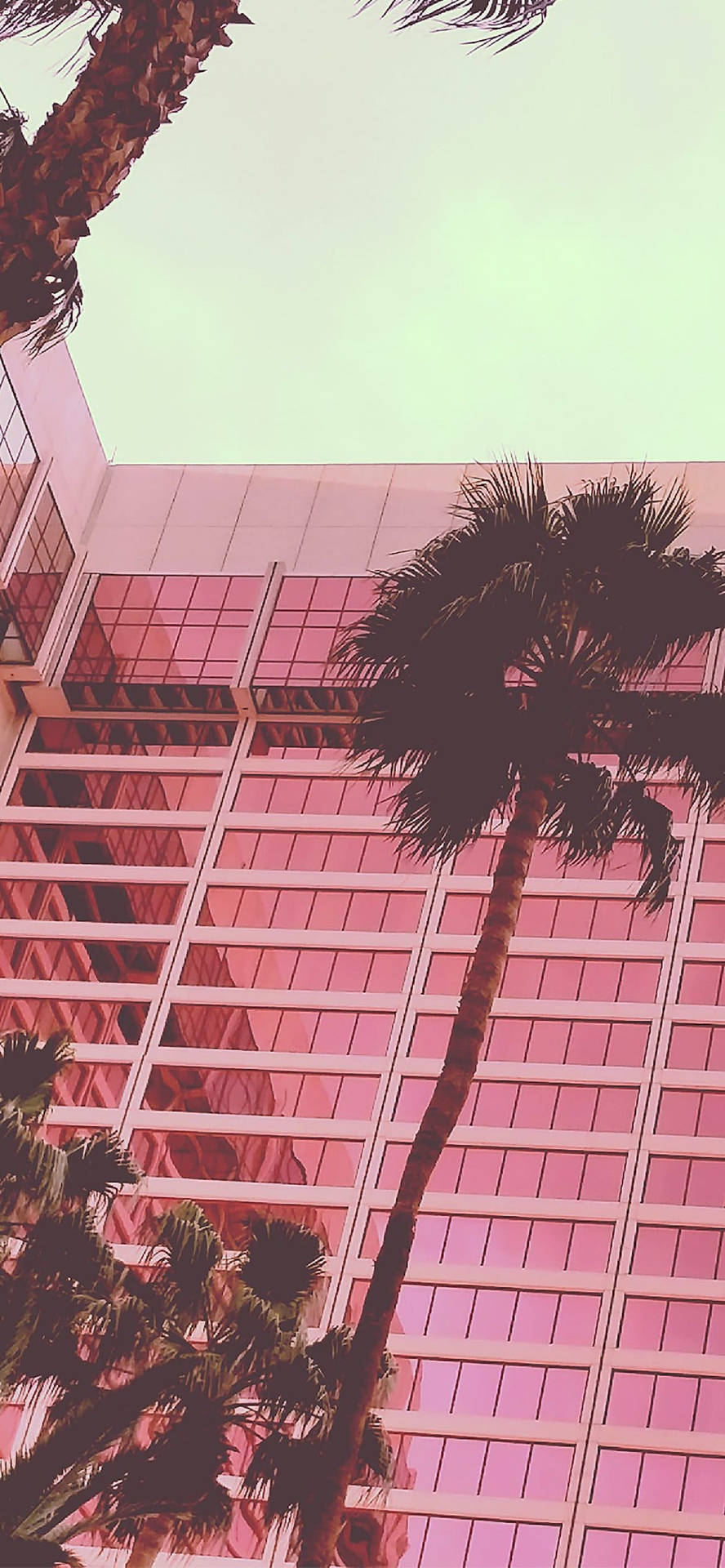 Aesthetic Pink iPhone Wallpaper