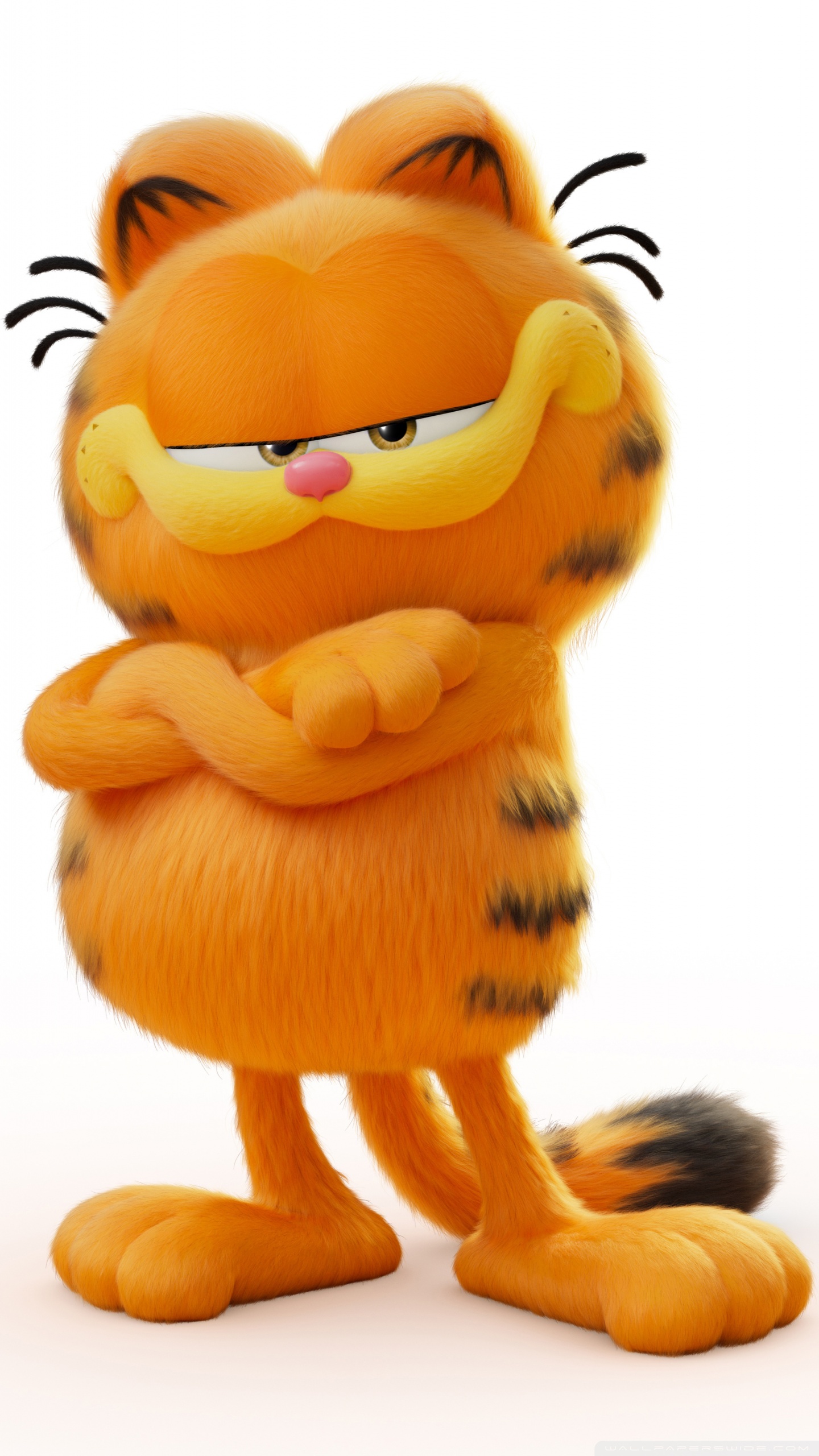The Garfield Movie 2024 Movie Ultra HD