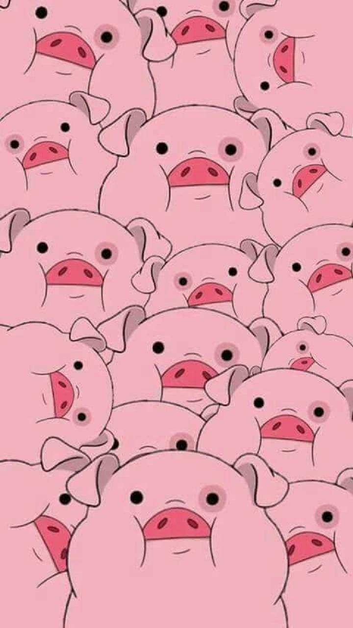 Cute Pig Wallpaper
