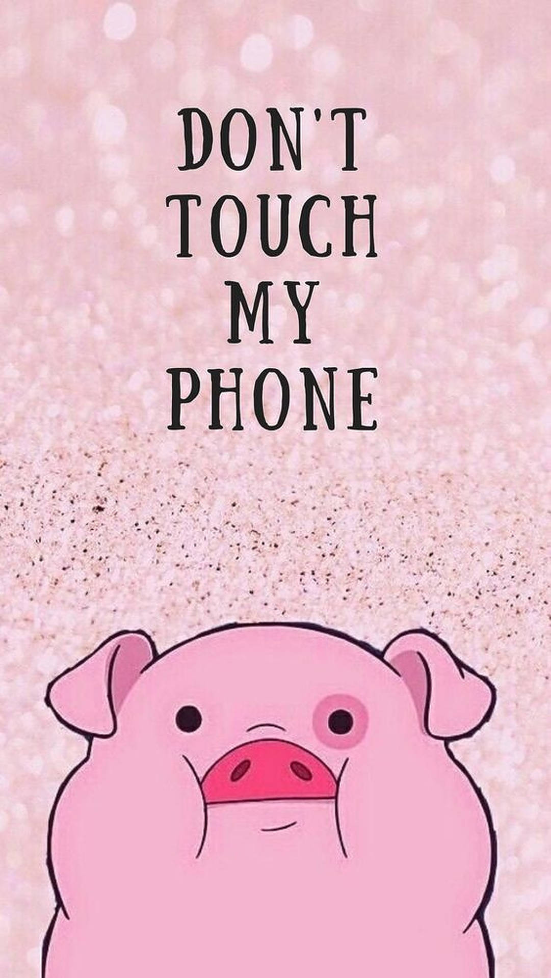 Download free Cute Pig Don't Touch My