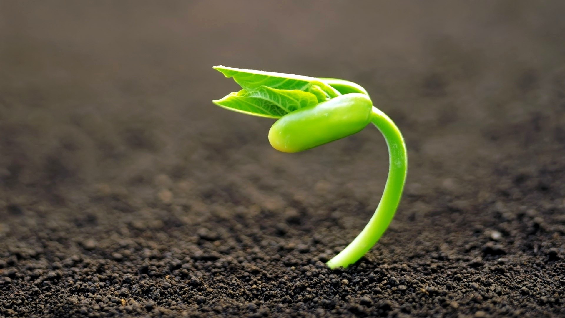 growth hacking Archives