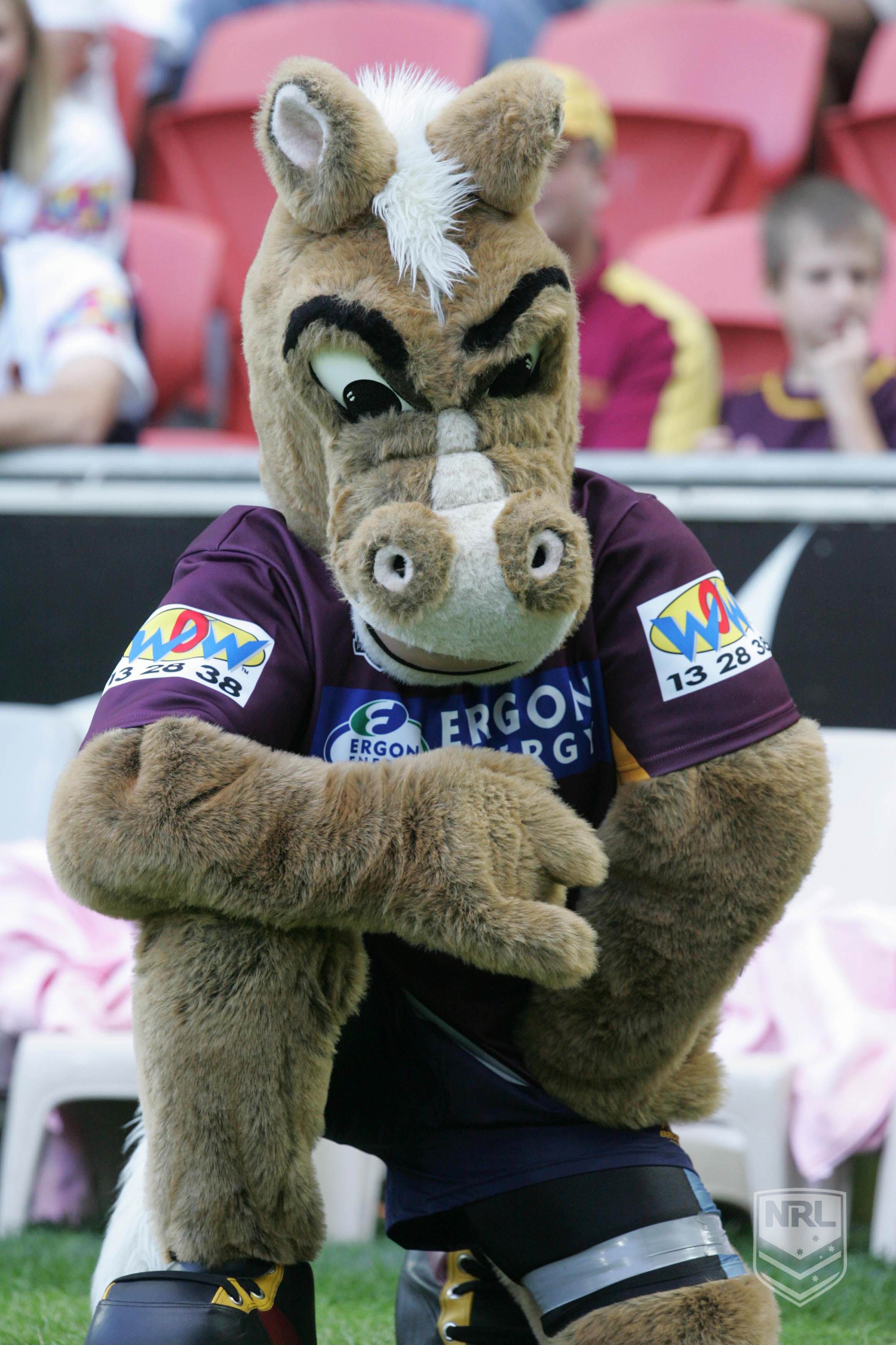 Brisbane Broncos Mascot. Brisbane