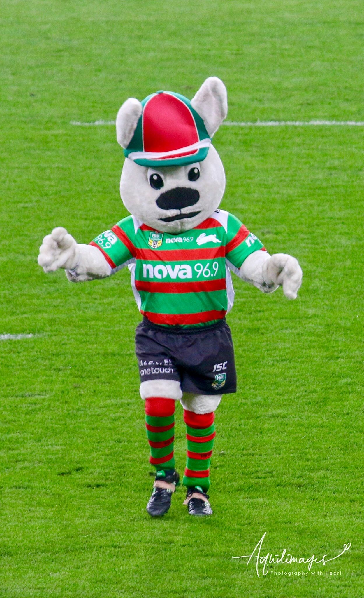 Rugby League Mascot on the Field