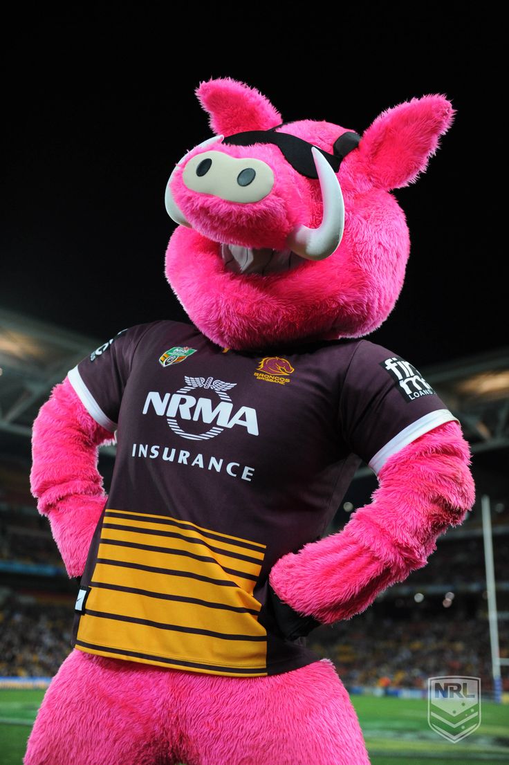 Broncos Hogsbreath Mascot. Nrl