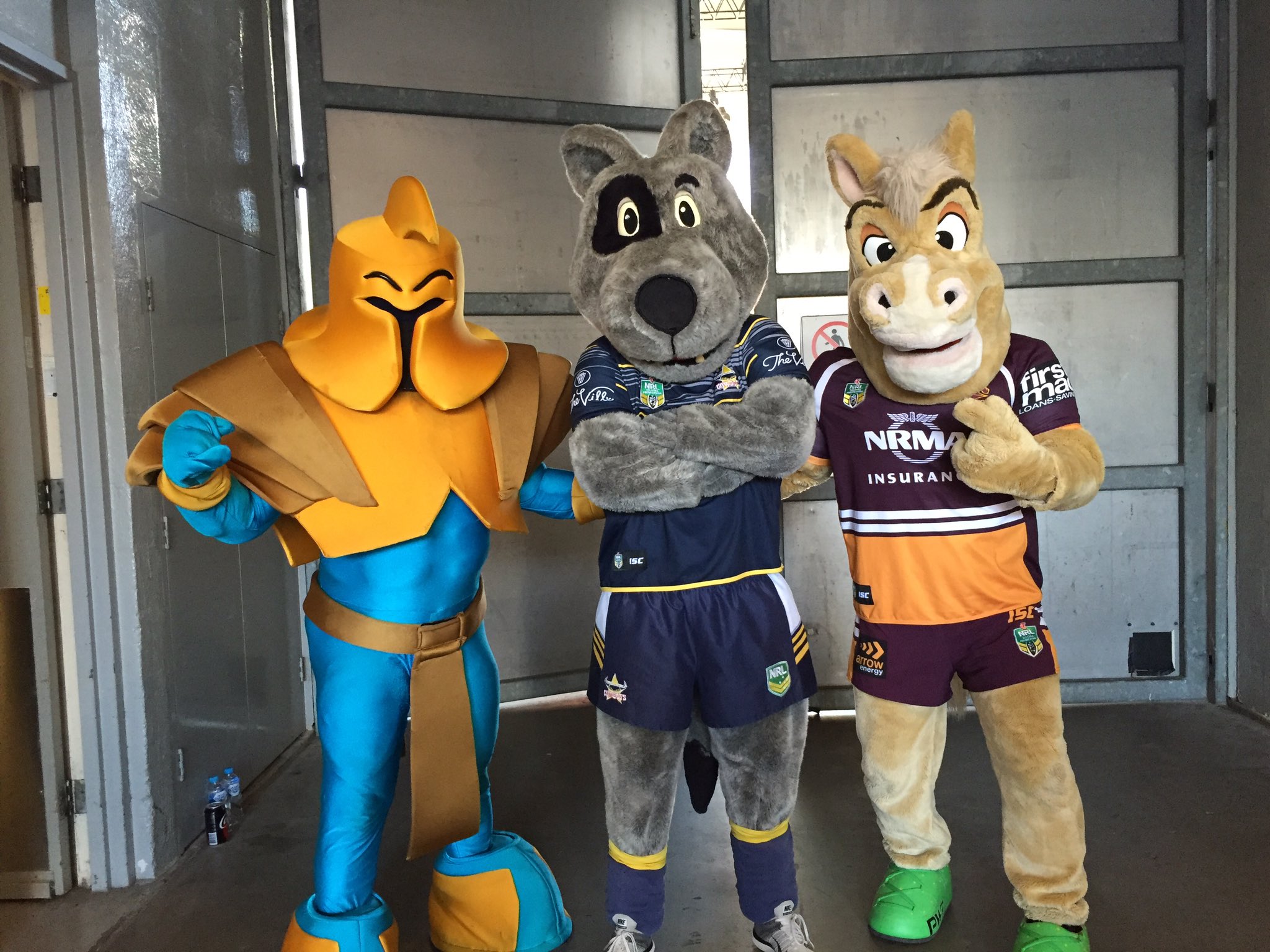 Bluey QUEENSLANDER mascots