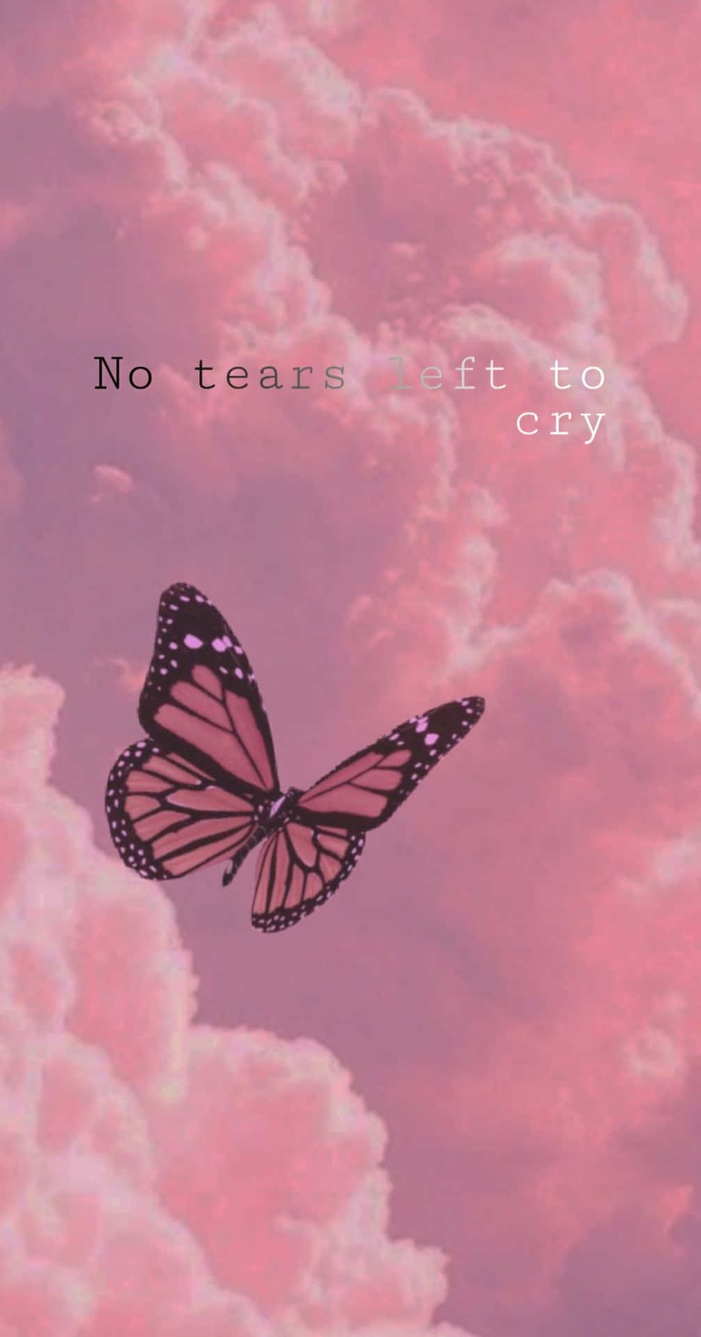 Butterfly Quotes Wallpaper