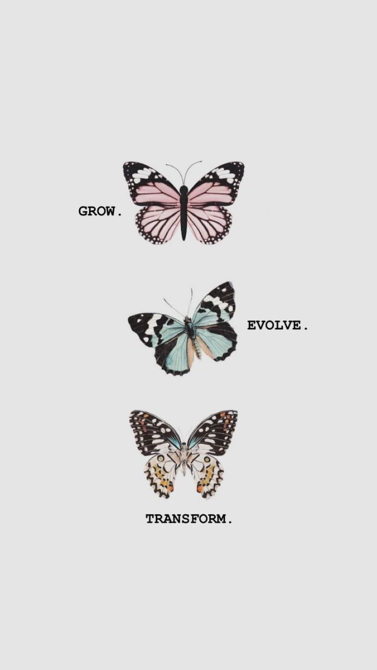Butterfly wallpaper iphone, Butterfly