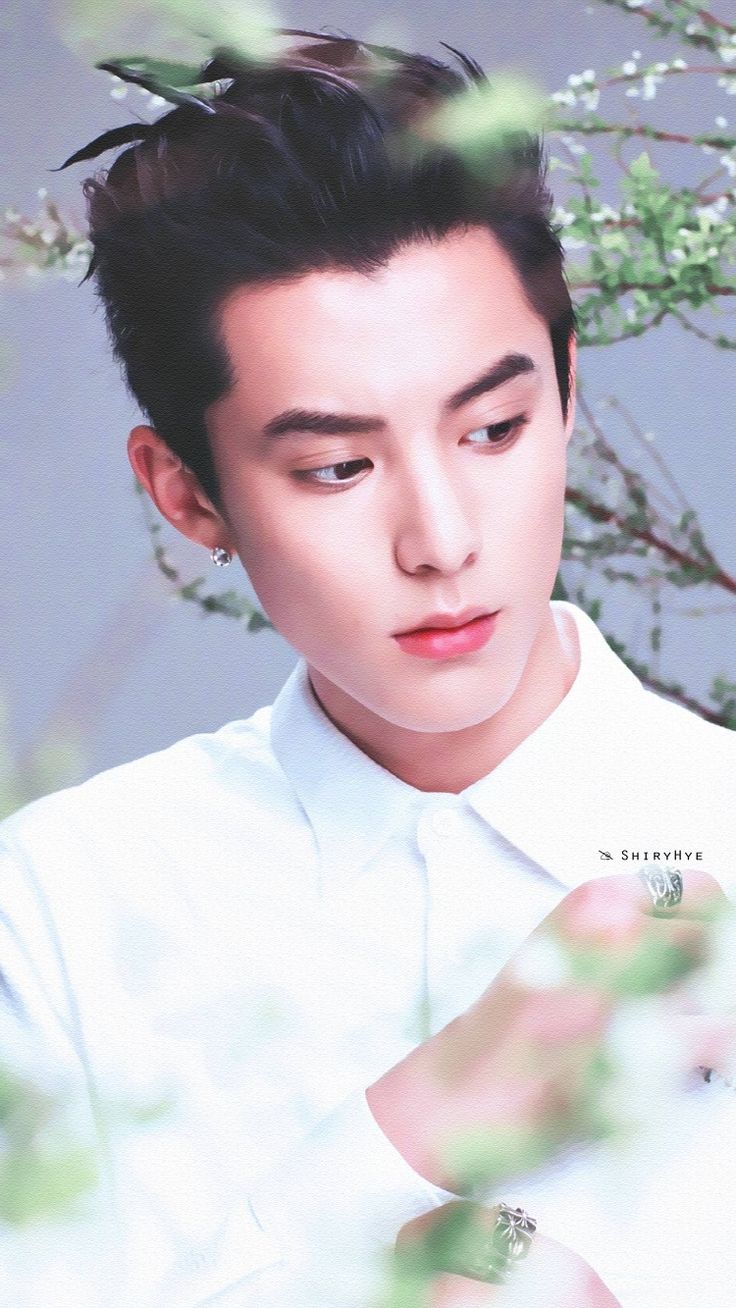 DiDi #DylanWang #WangHeDi #王鹤棣