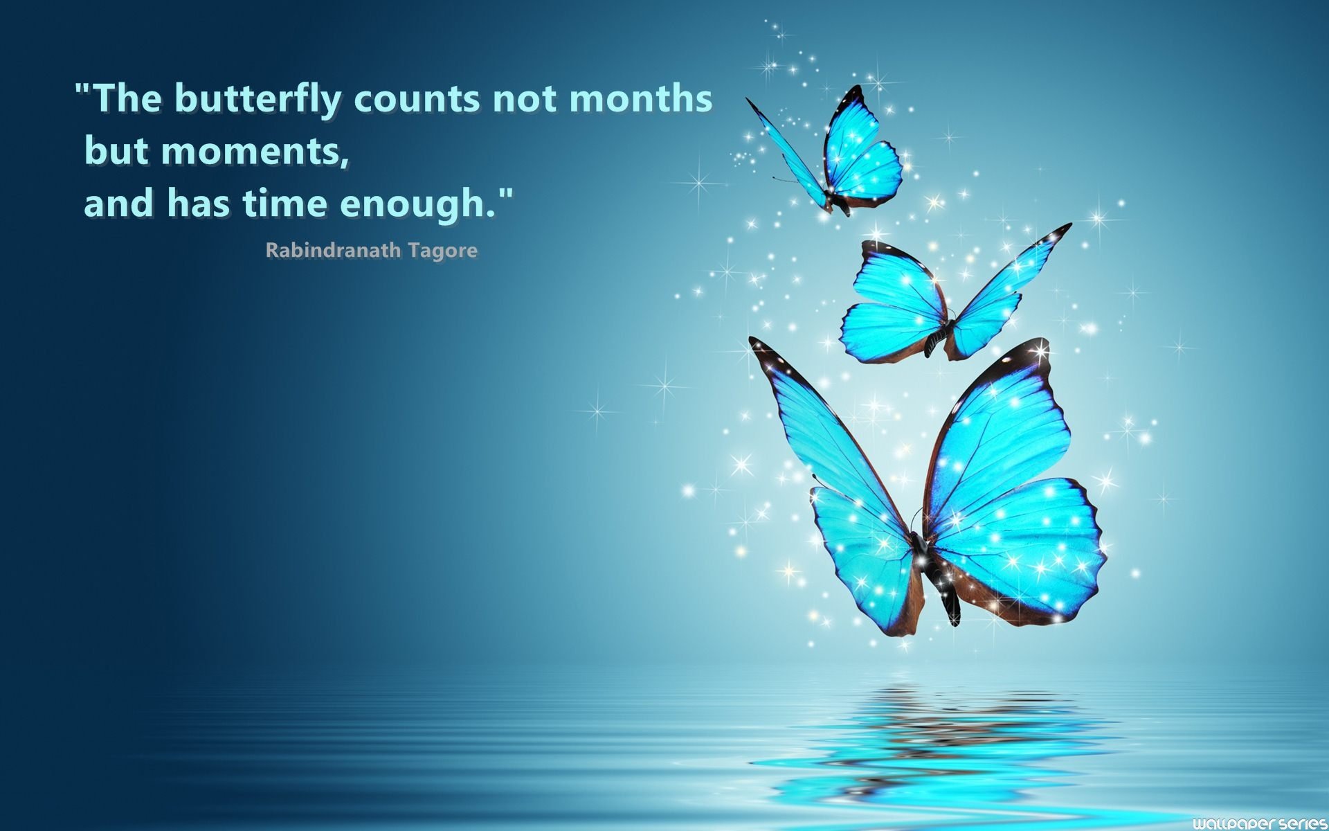 Butterfly Counts Quotes Wallpaper 05669