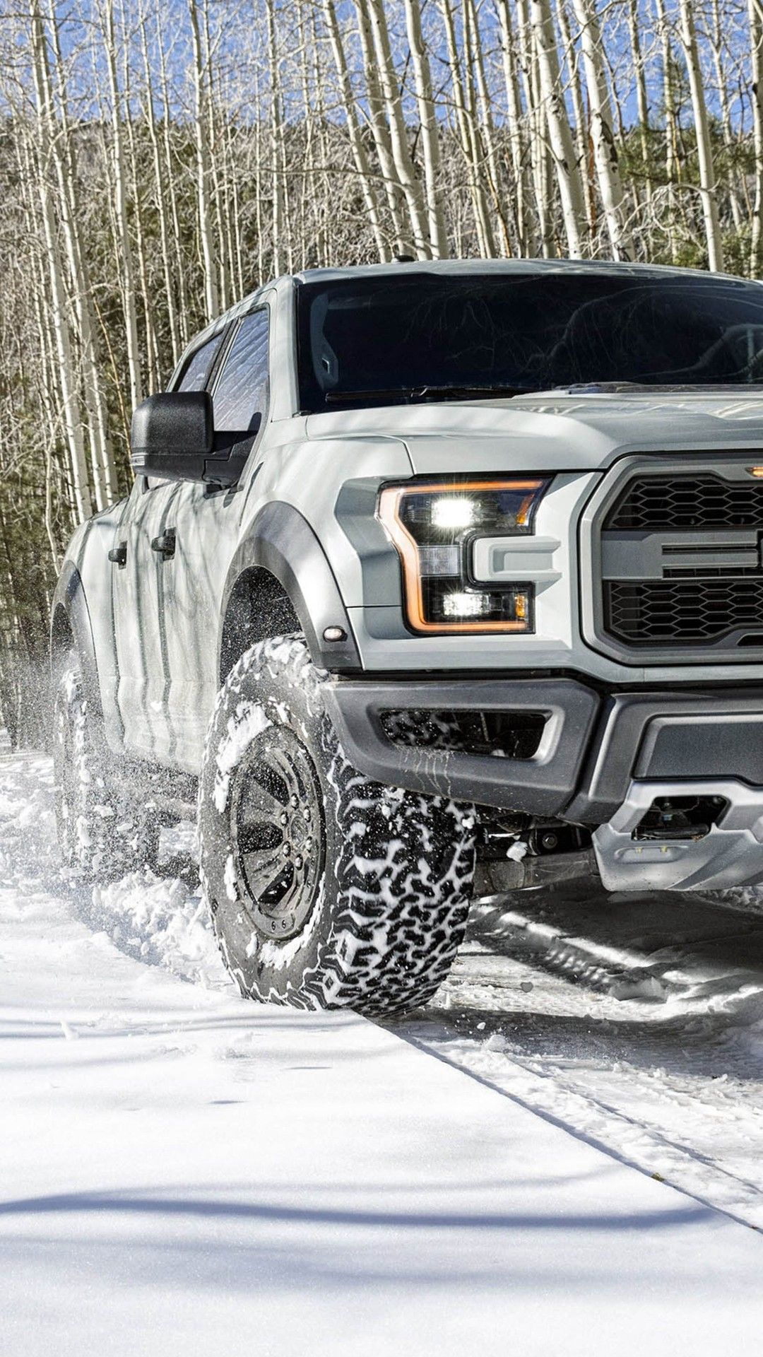 Ford raptor, Car