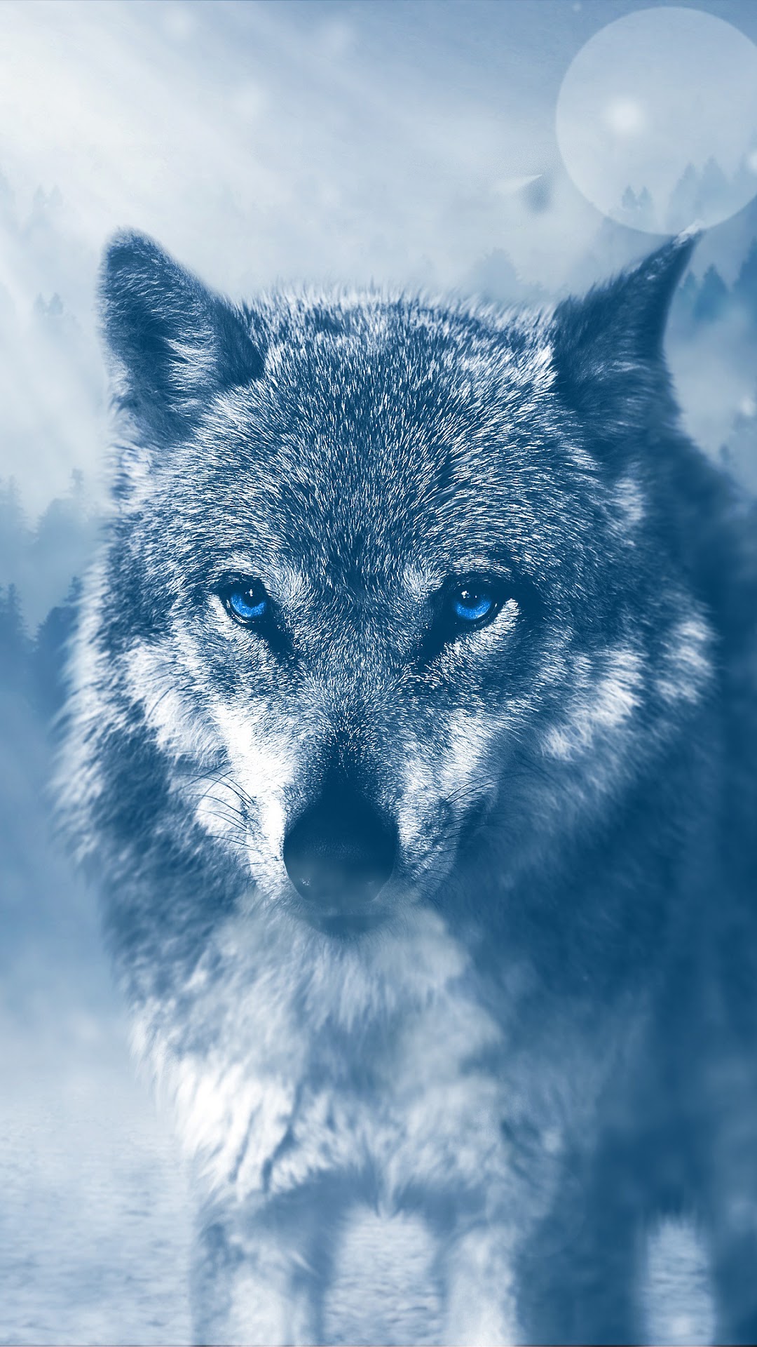 Wolf 4K Wallpaper