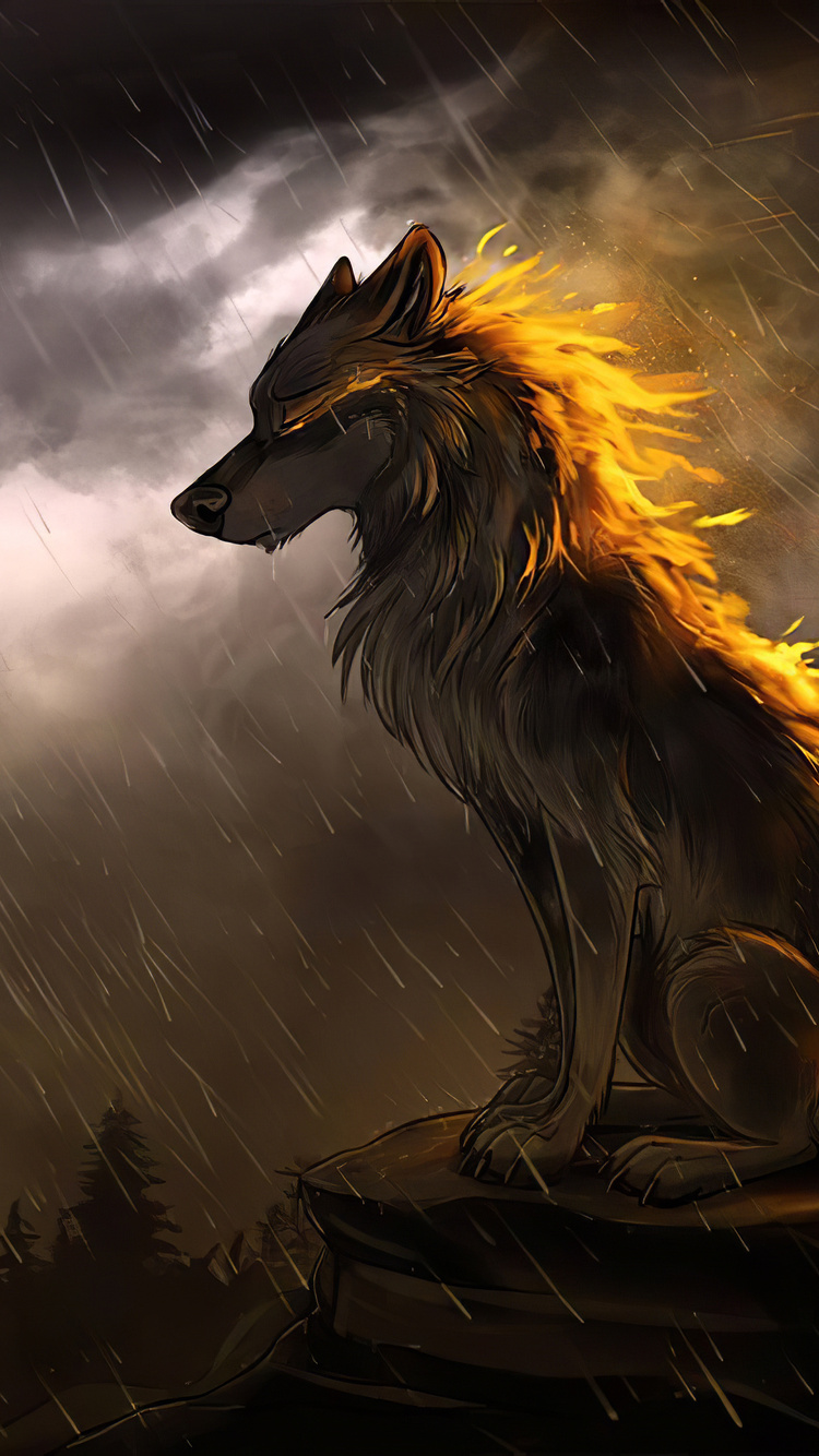 Wolf In Soothing Rain 4k iPhone