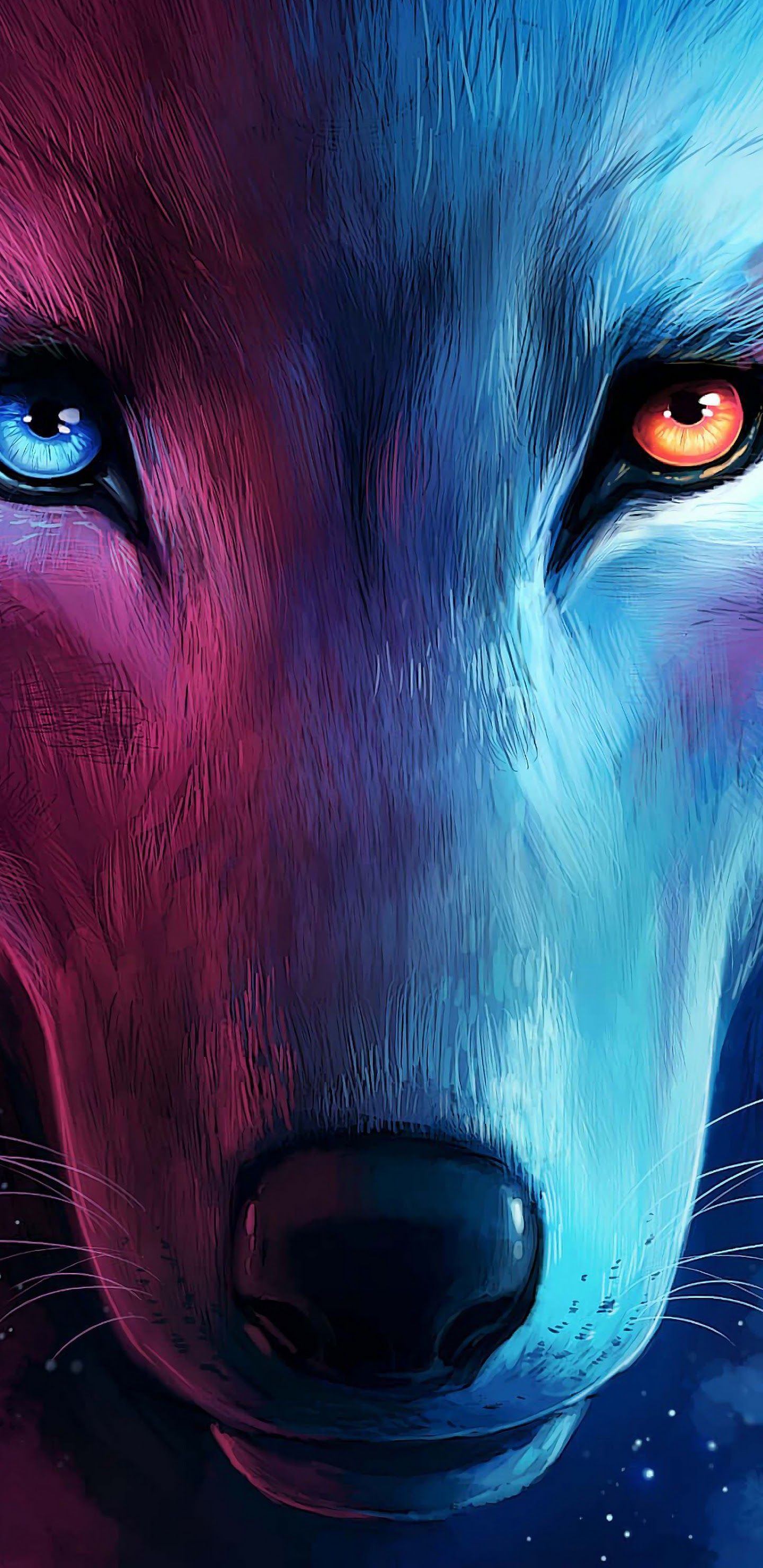 28++ Blue Wolf iPhone Wallpaper
