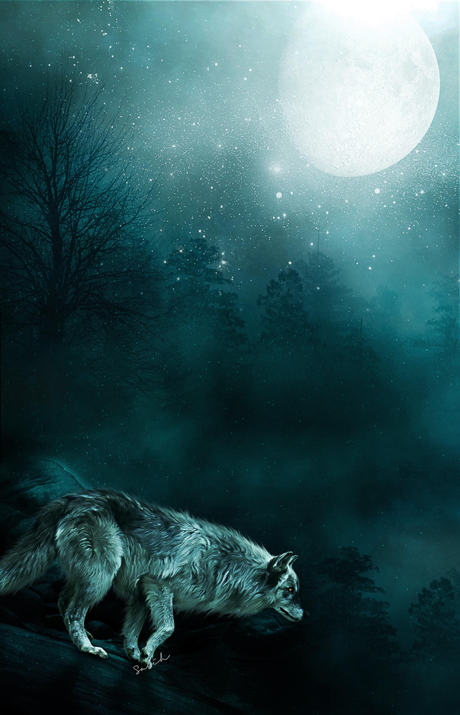 Wolf iPhone wallpaper!