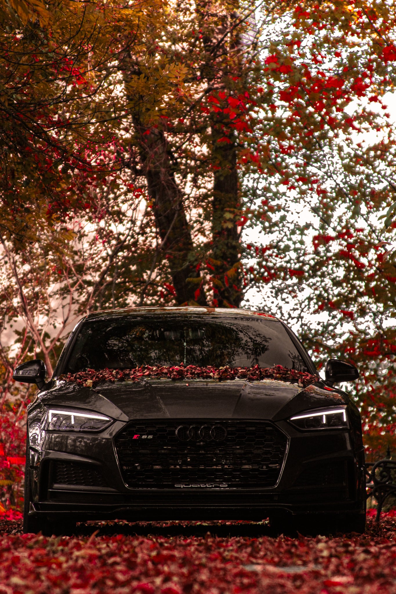 Audi A5 S5 RS Style Grille