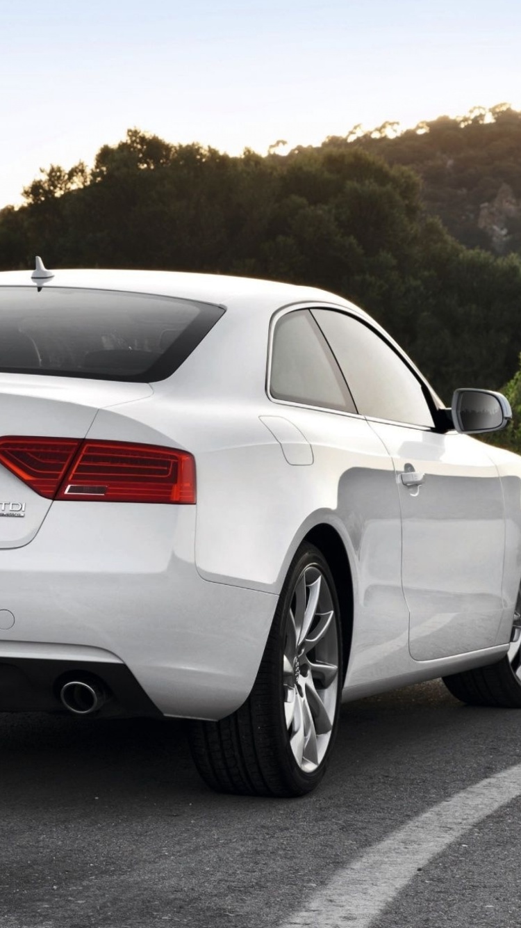 Audi A5 Coupe Rear View Wallpaper