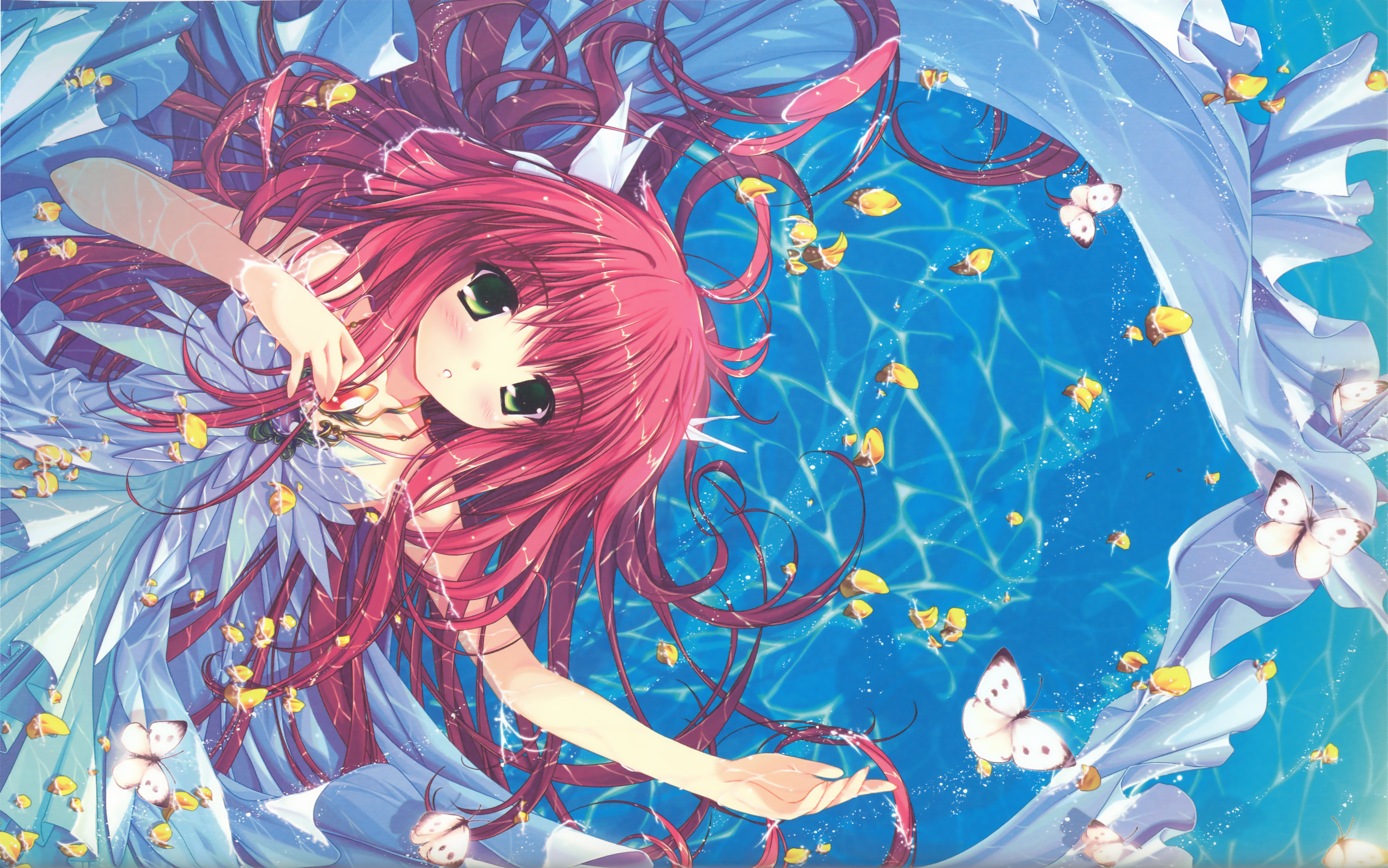 Blush Butterfly Fish Green Eyes Pink