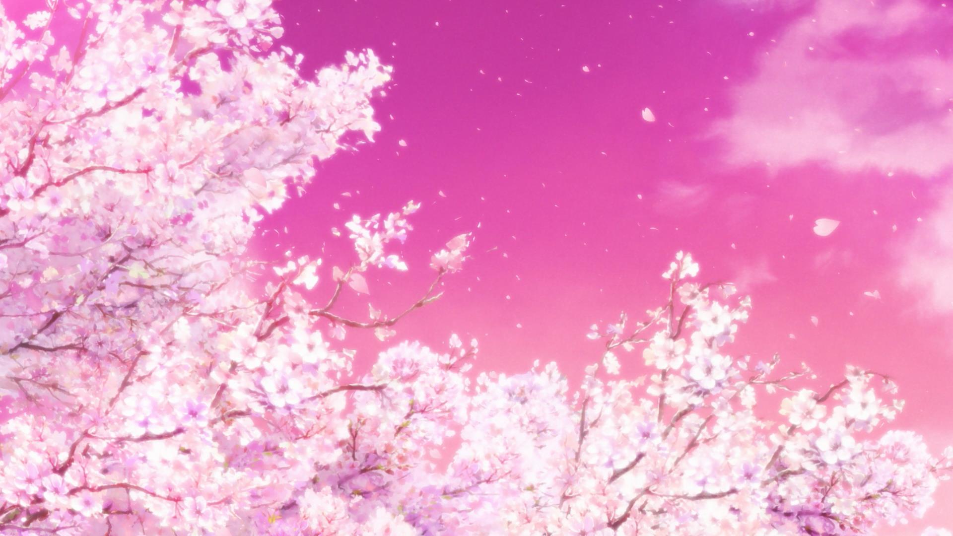 Anime Cherry Blossoms Hyouka