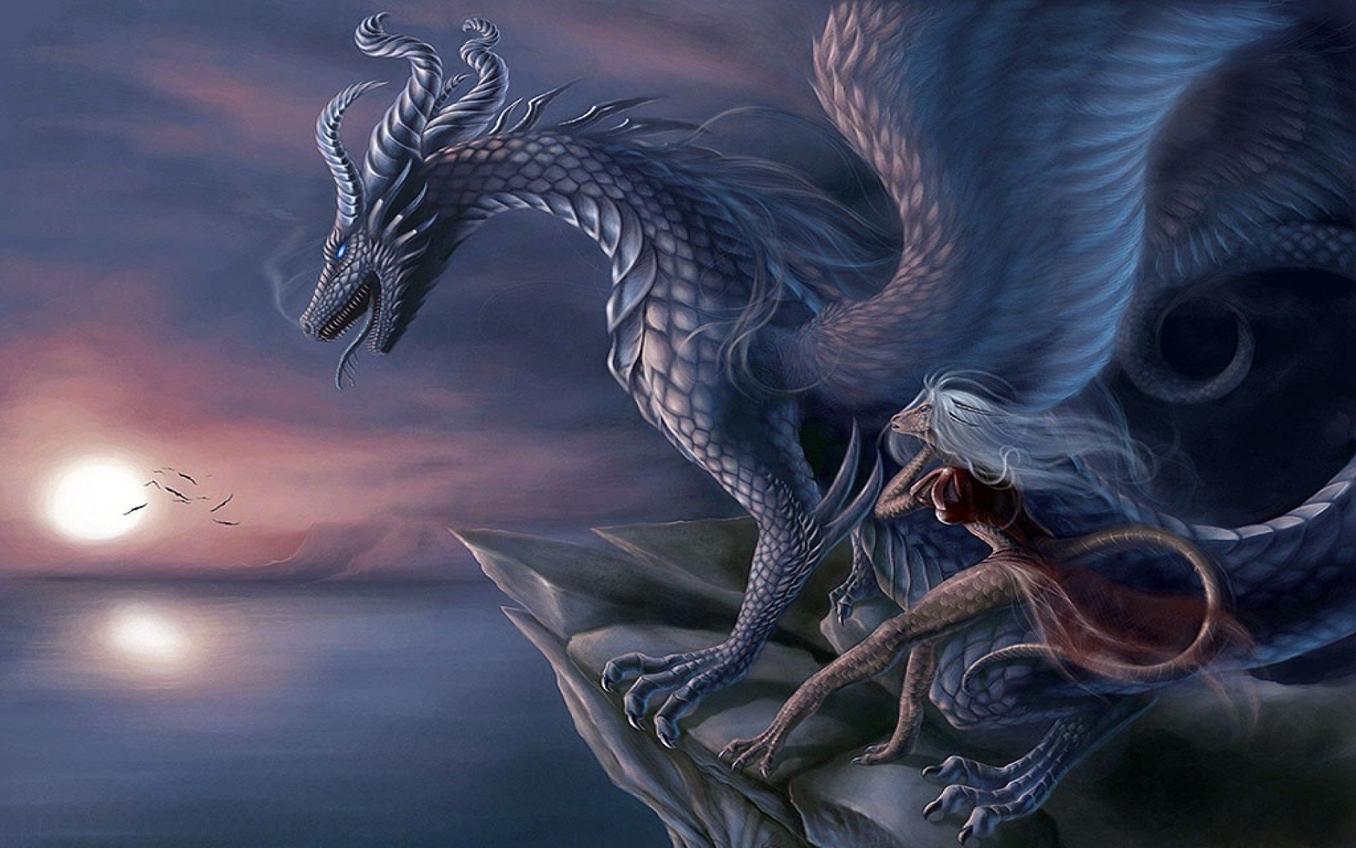 Download Witch Fantasy Dragon HD Wallpaper