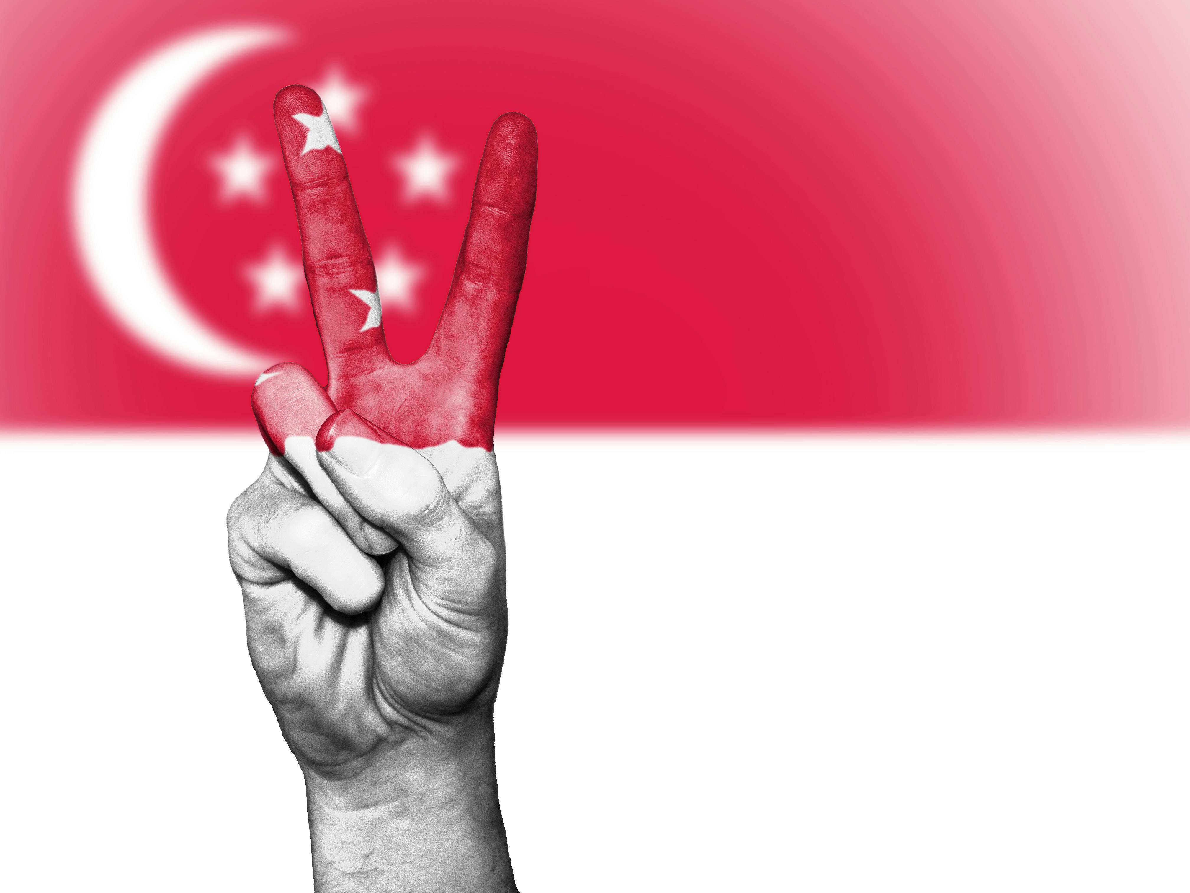 Singapore Flag Themed Painted Hand