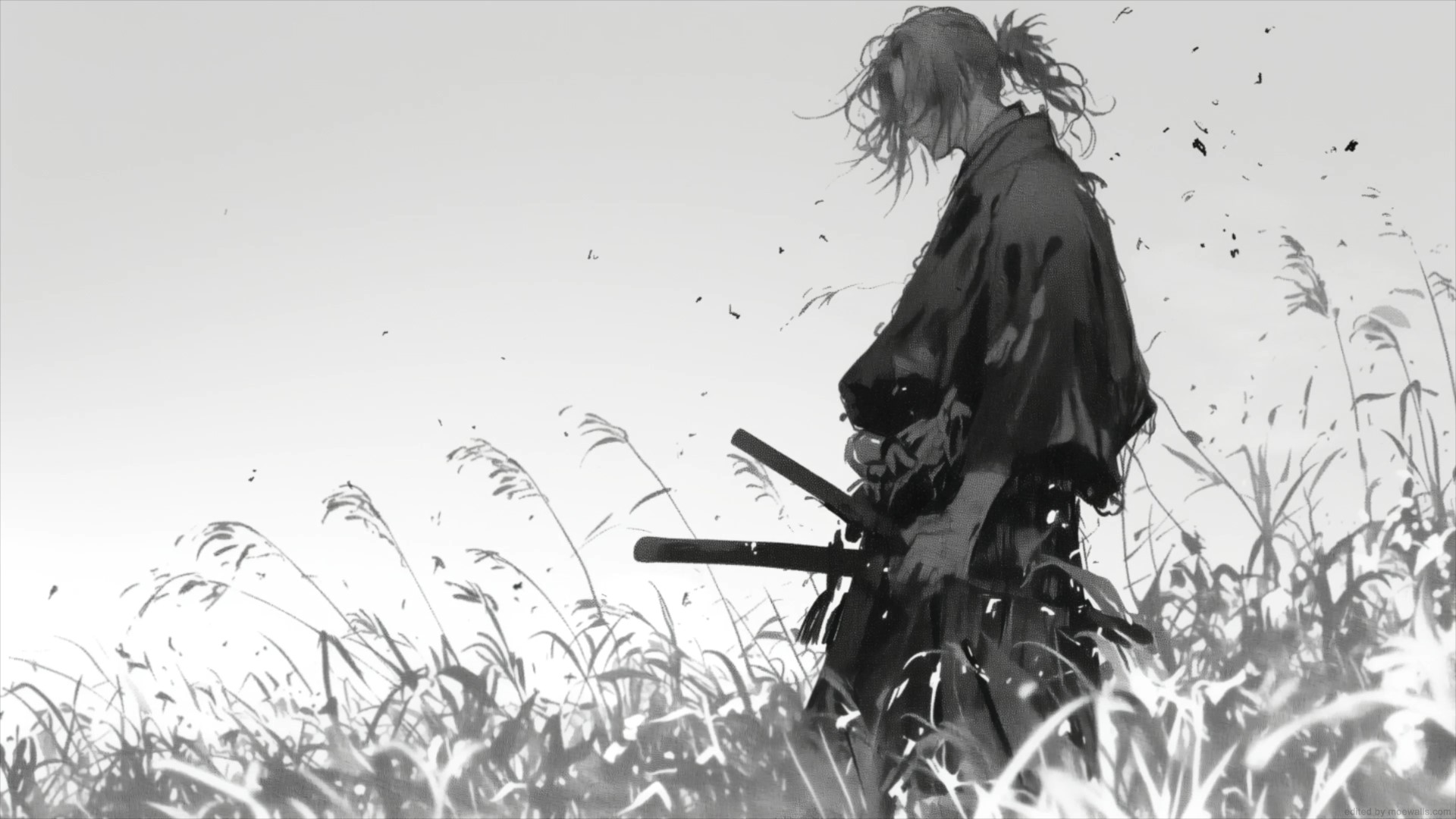 Field Vagabond Live Wallpaper