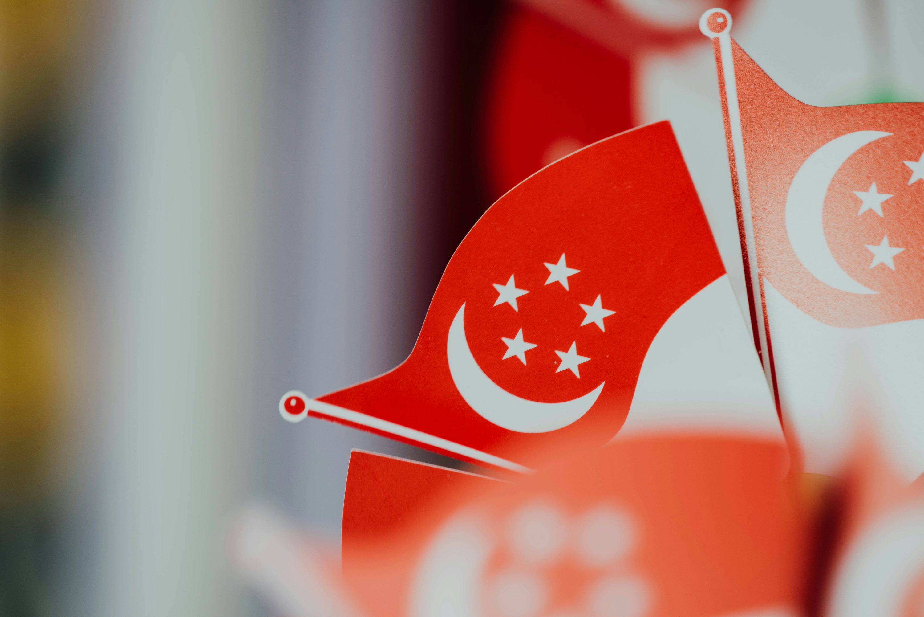 Singapore Flag Picture. Download Free