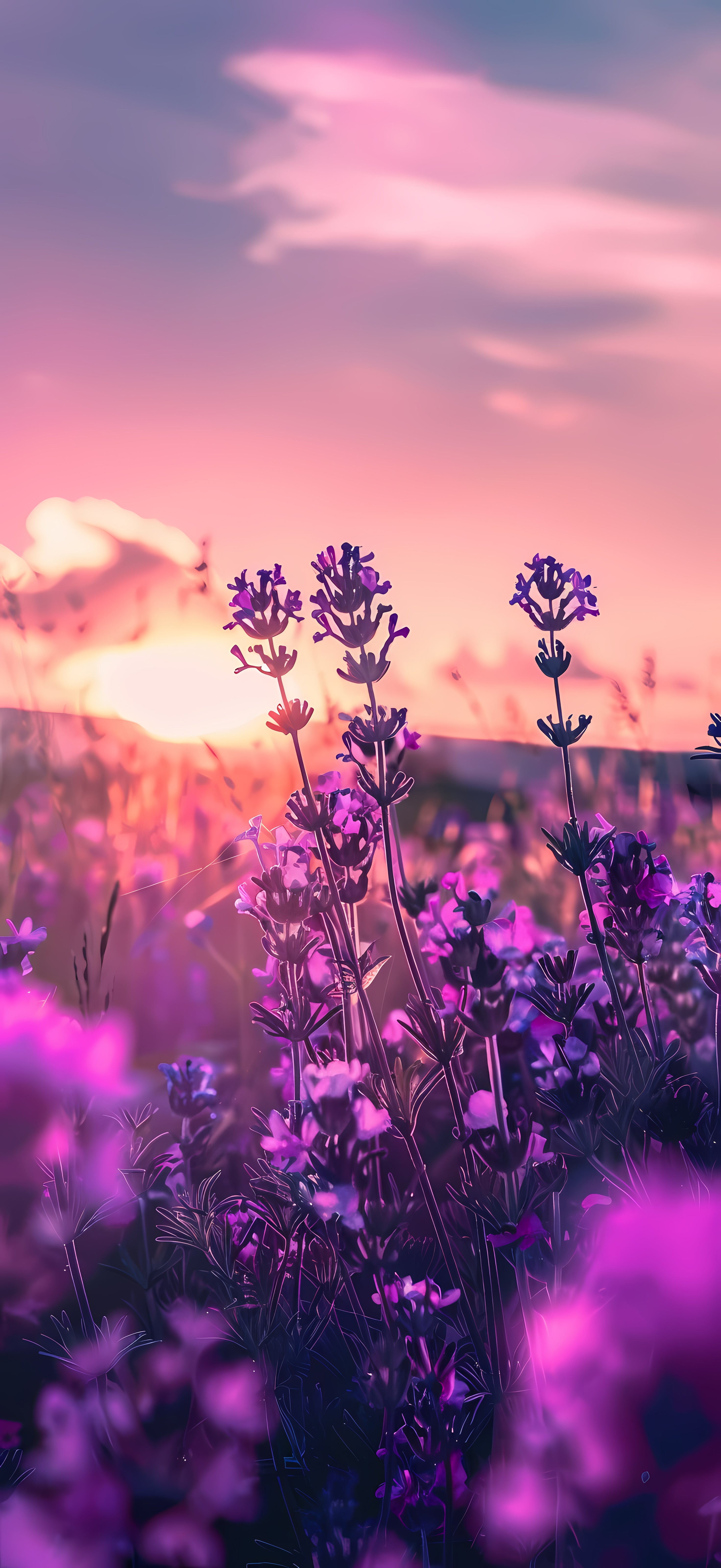 Best Purple iPhone Wallpaper 2024