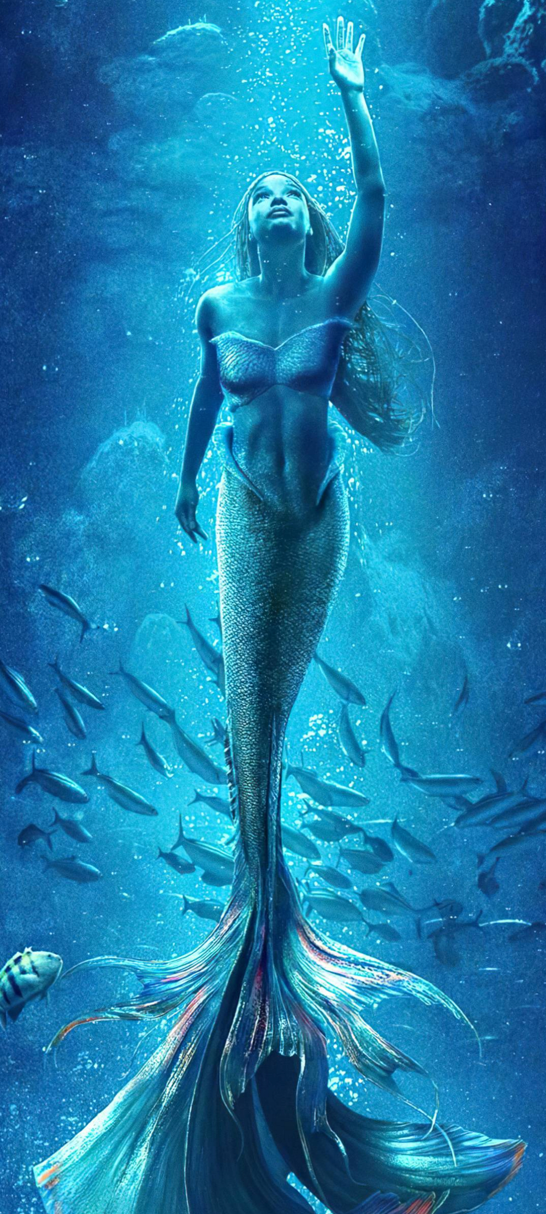 Ariel (The Little Mermaid)