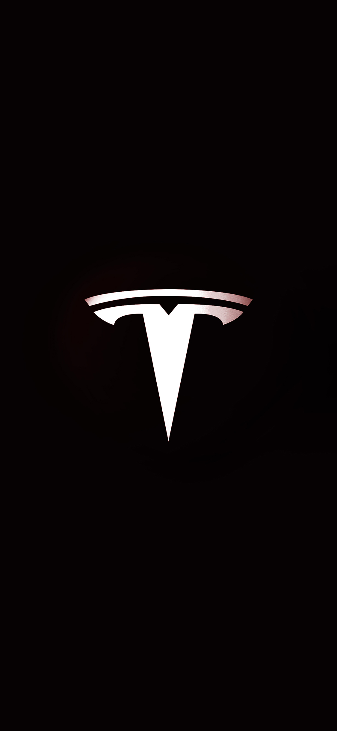 Tesla Motors Logo Art