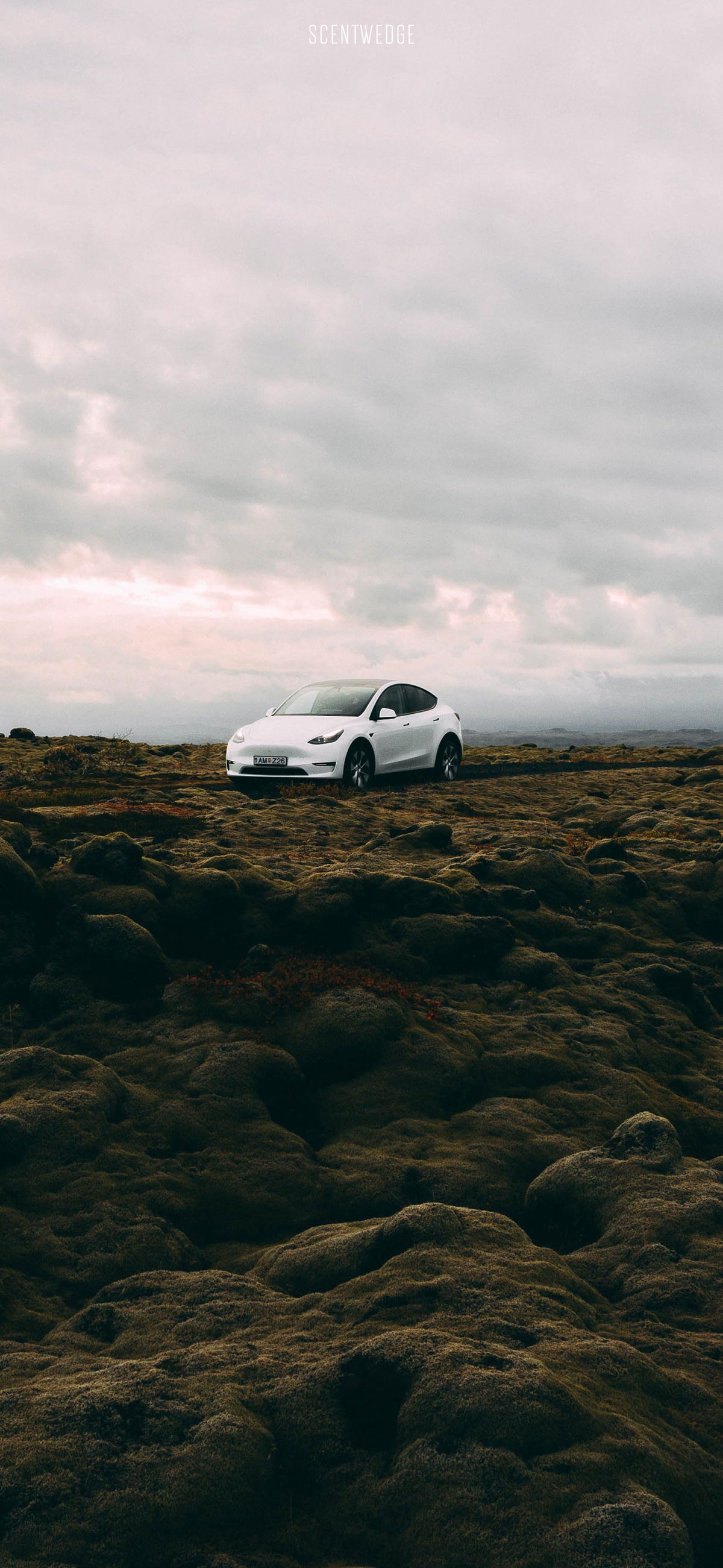 Model 3 Wallpaper