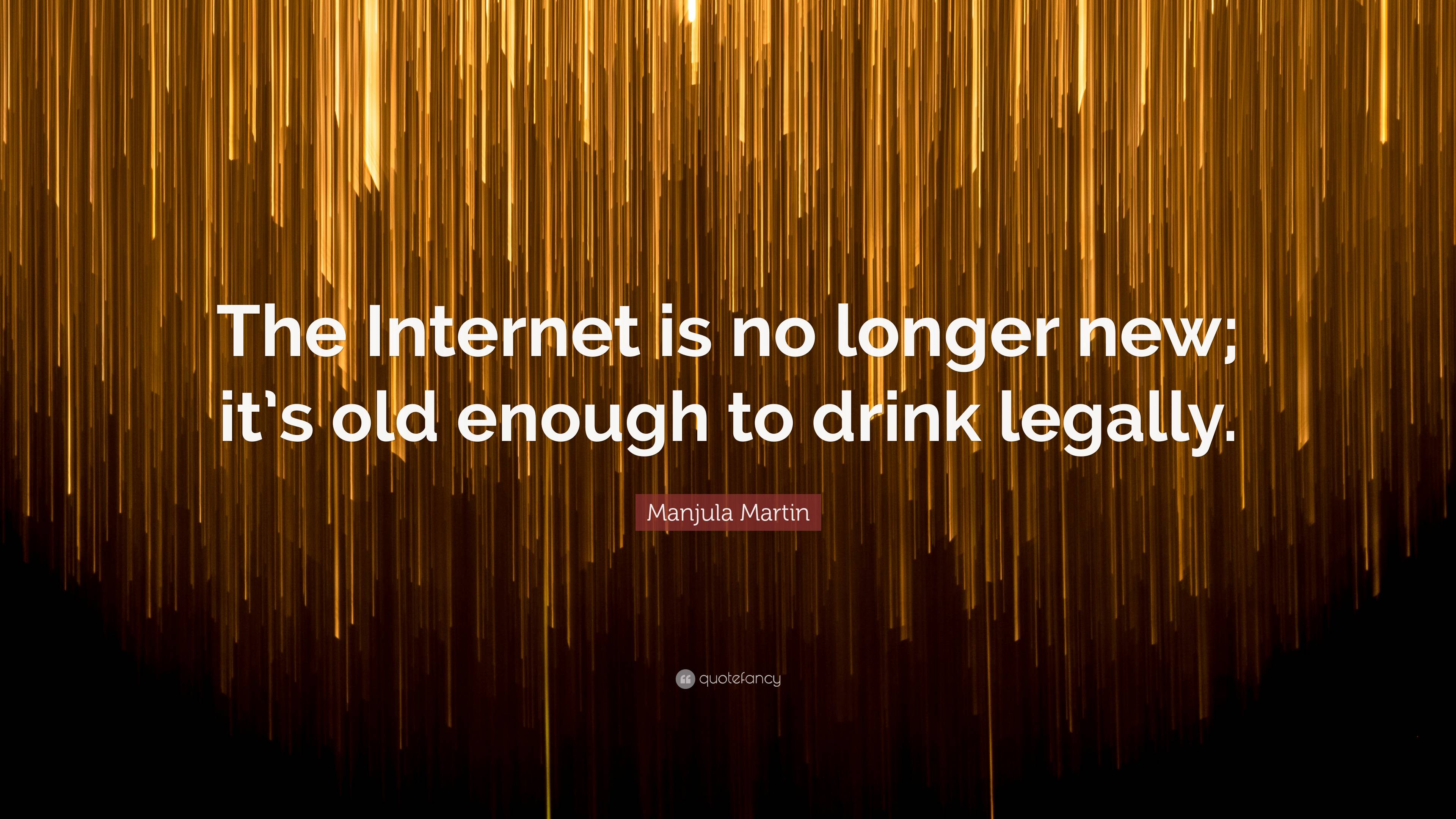 Manjula Martin Quote: “The Internet is