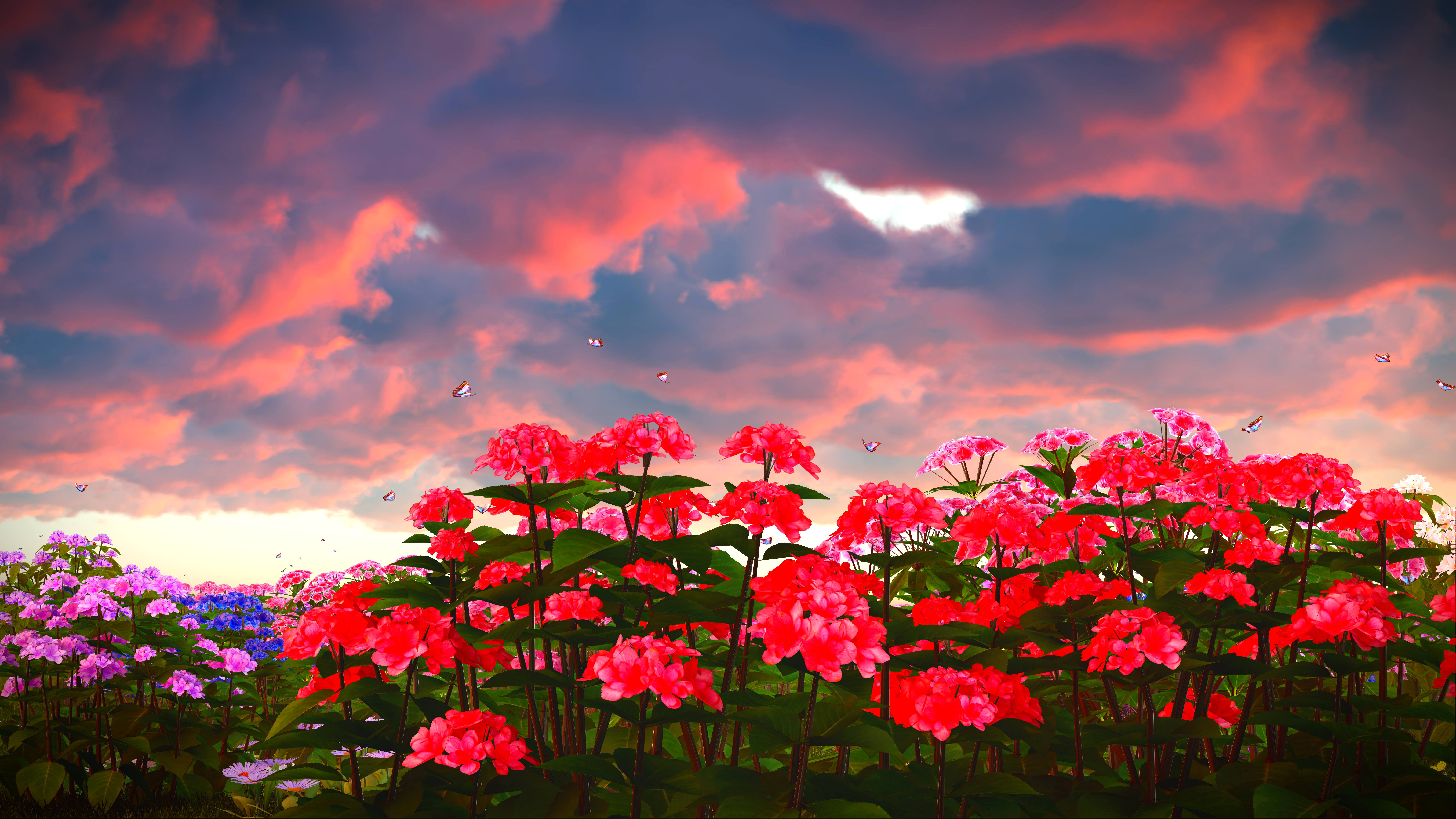 image Sky Phlox Flowers Clouds 7680x4320