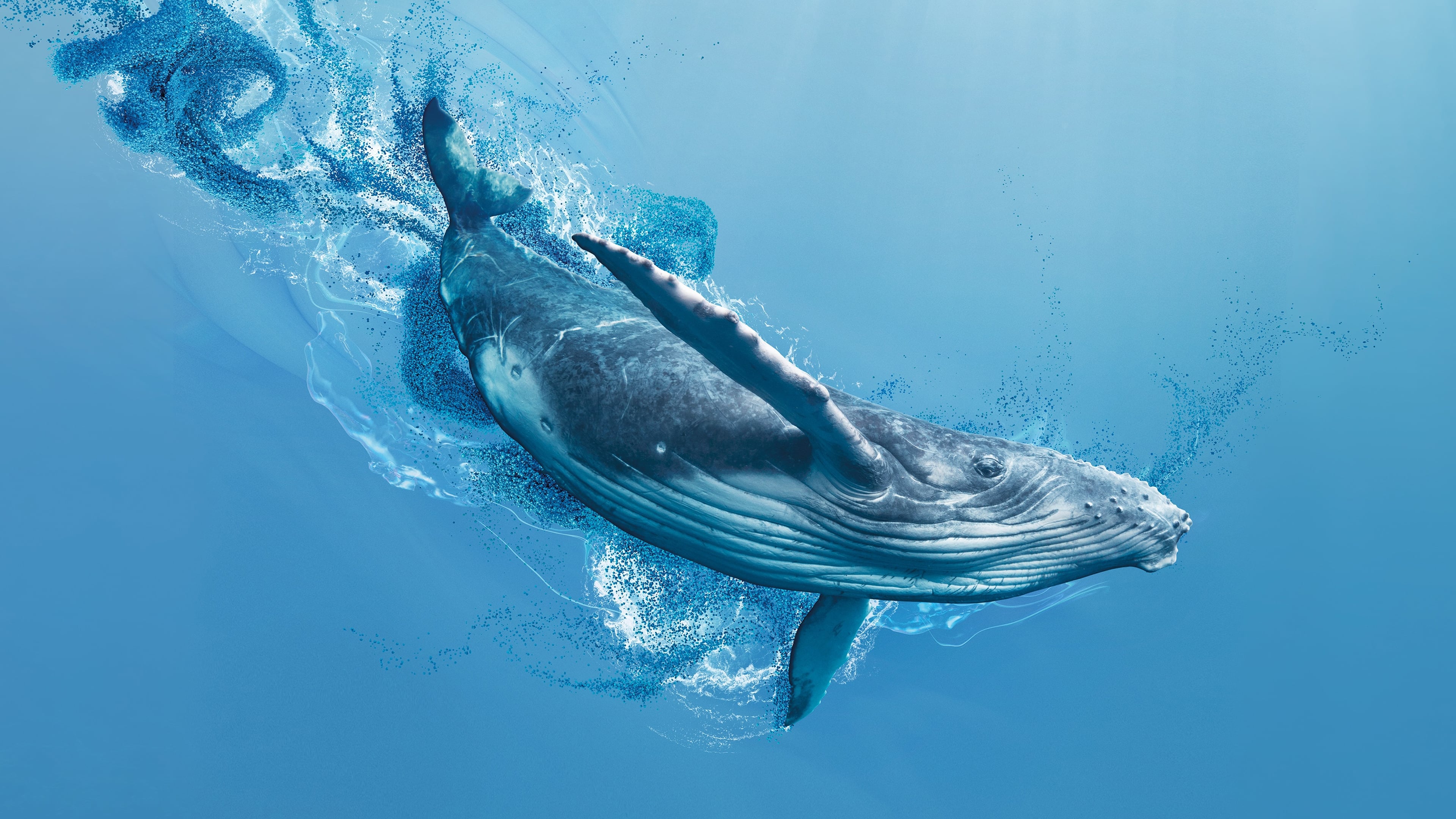 Perfect Planet 4k Ultra HD Wallpaper