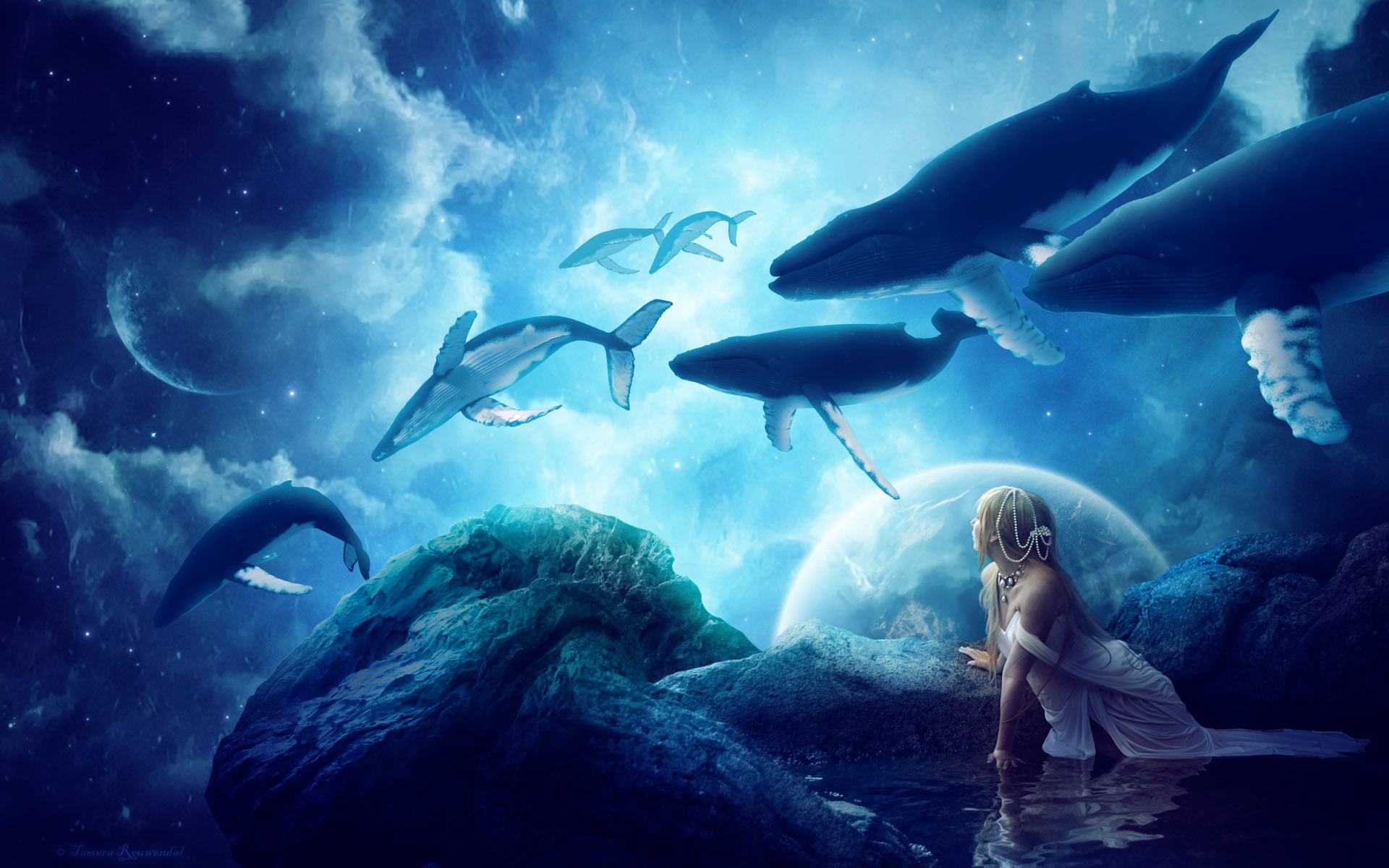 Download Fantasy Whale HD Wallpaper