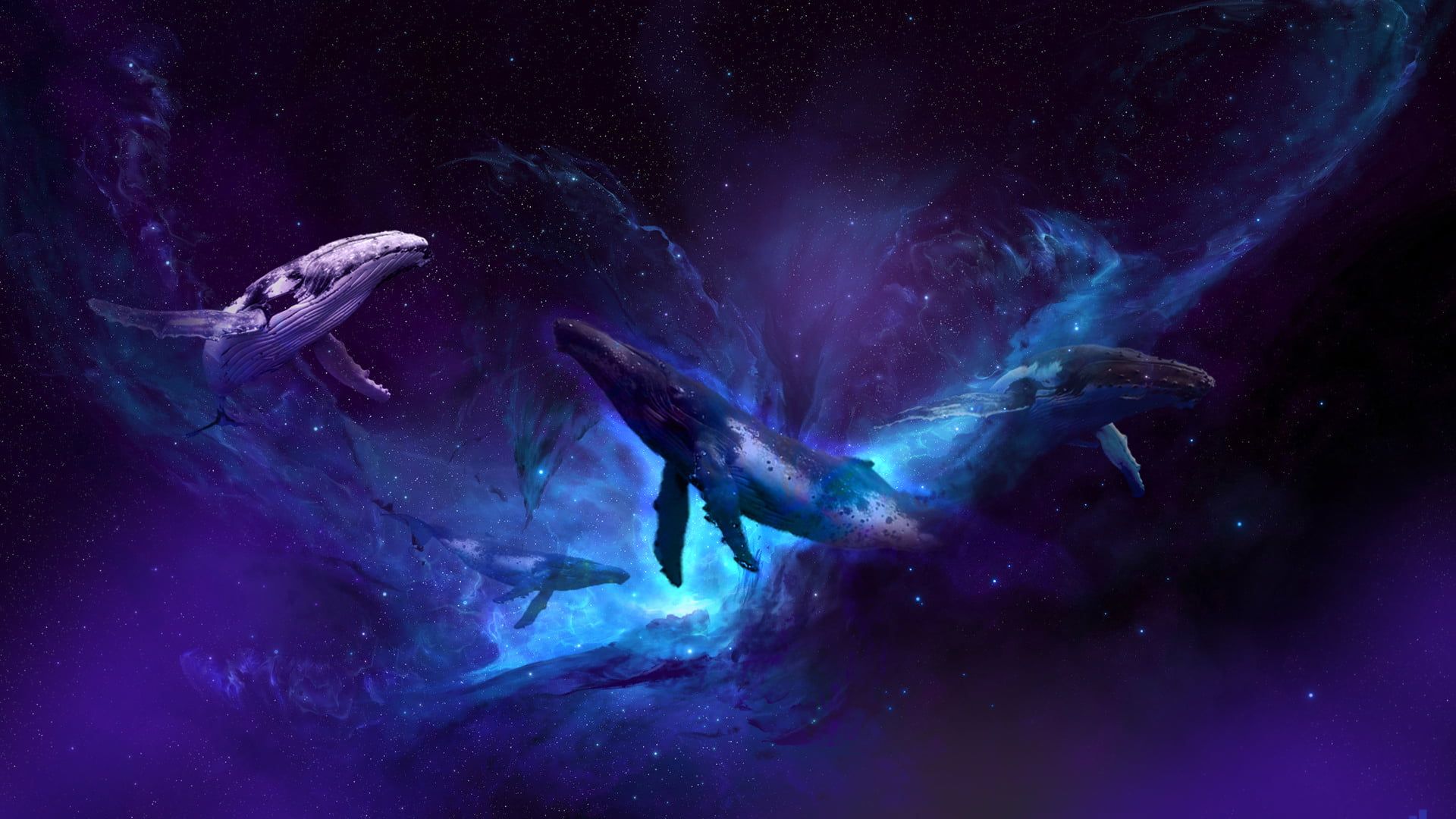 universe #whale P #wallpaper