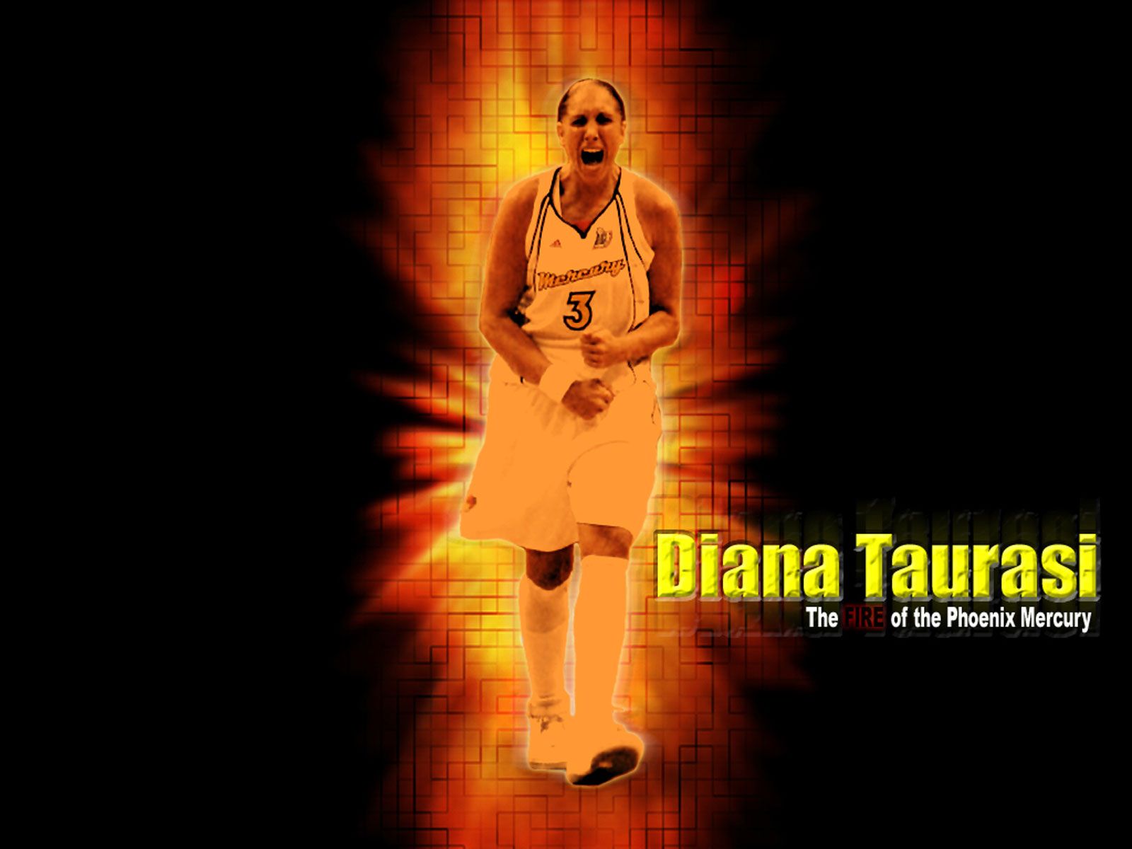 Diana Taurasi Wallpaper at