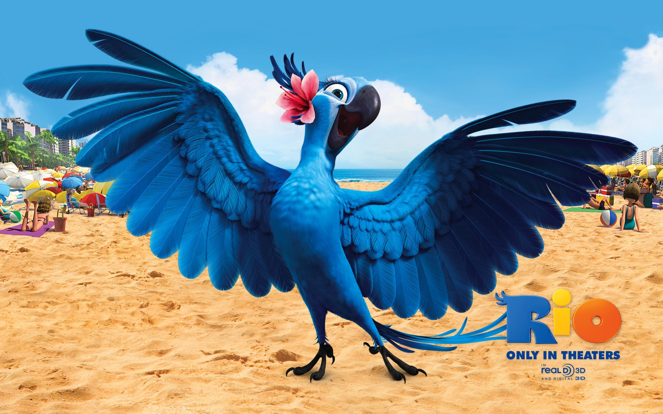 Download wallpaper birds, cartoons, Rio