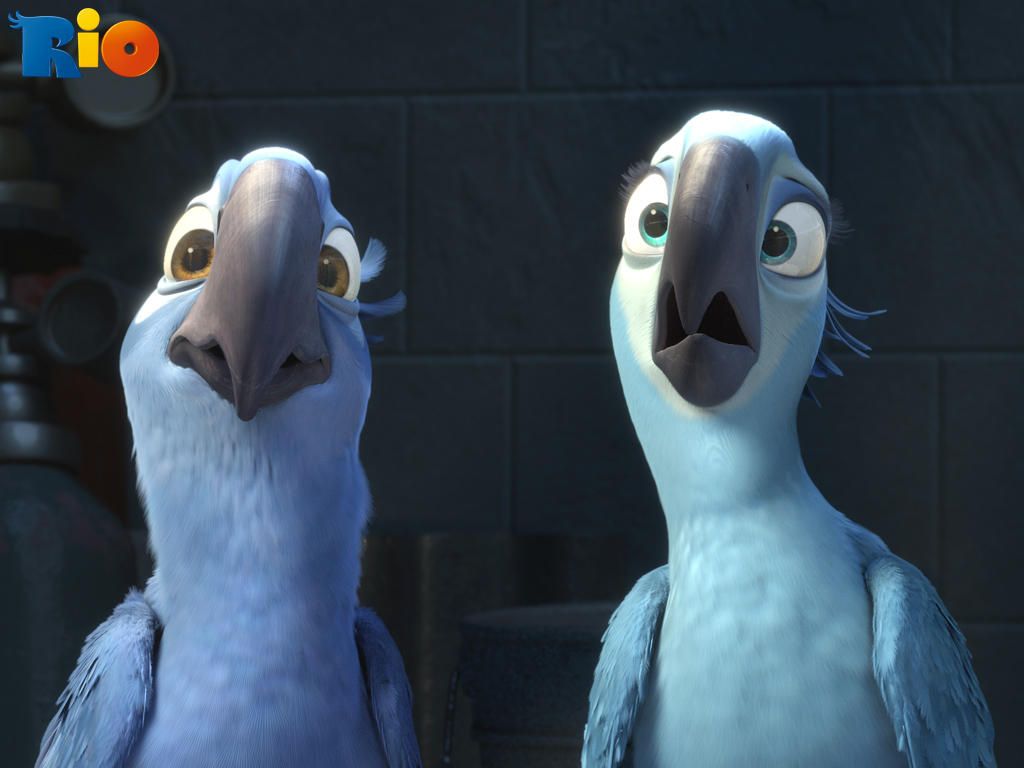 Angry Birds Rio Blu Jewel IPad 3 PC