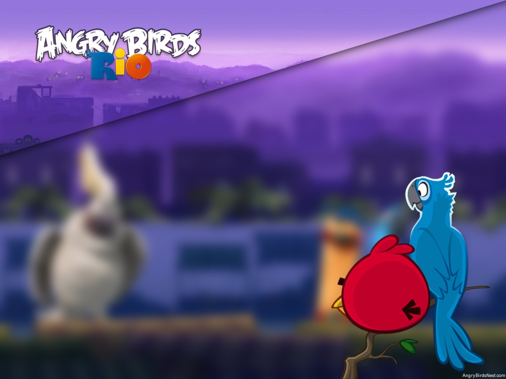 Angry Birds Rio Market Mayhem Update